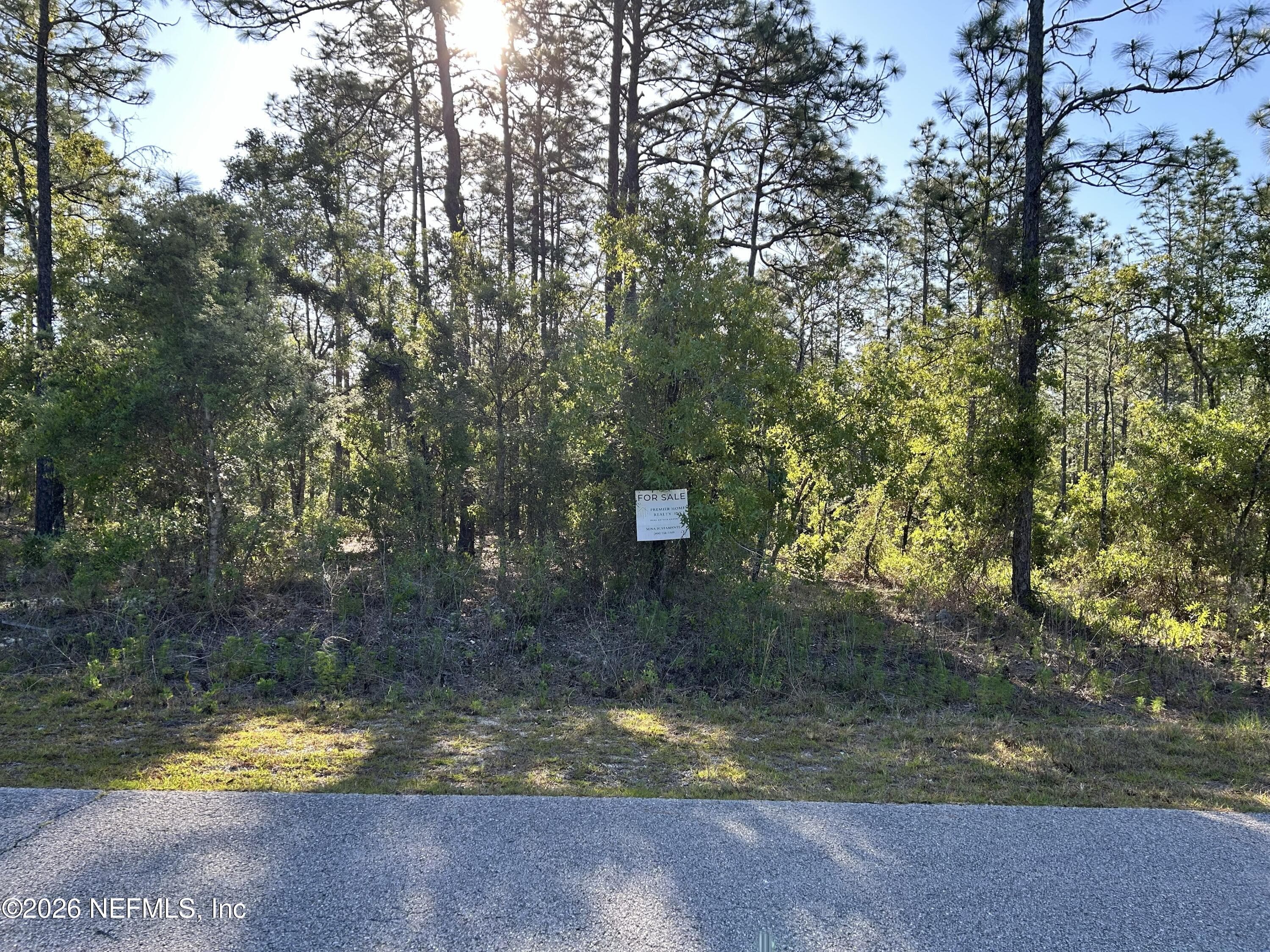 LOT 20 SW BUENA VISTA Road, Dunnellon, FL 34431, Dunnellon — exterior
