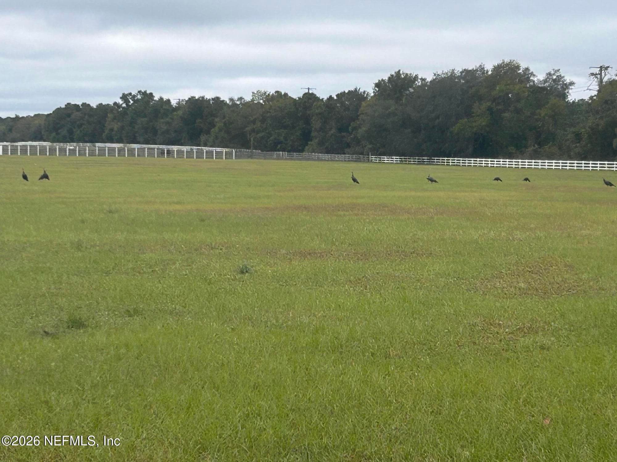 5411 STATE ROAD 21, Keystone Heights, FL 32656, Keystone Heights — photo 2