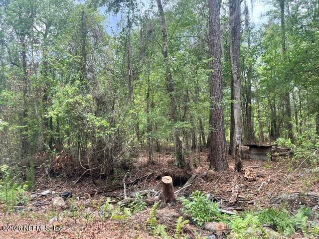 10891 NW COUNTY ROAD 229, Starke, FL 32091, Starke — photo 3