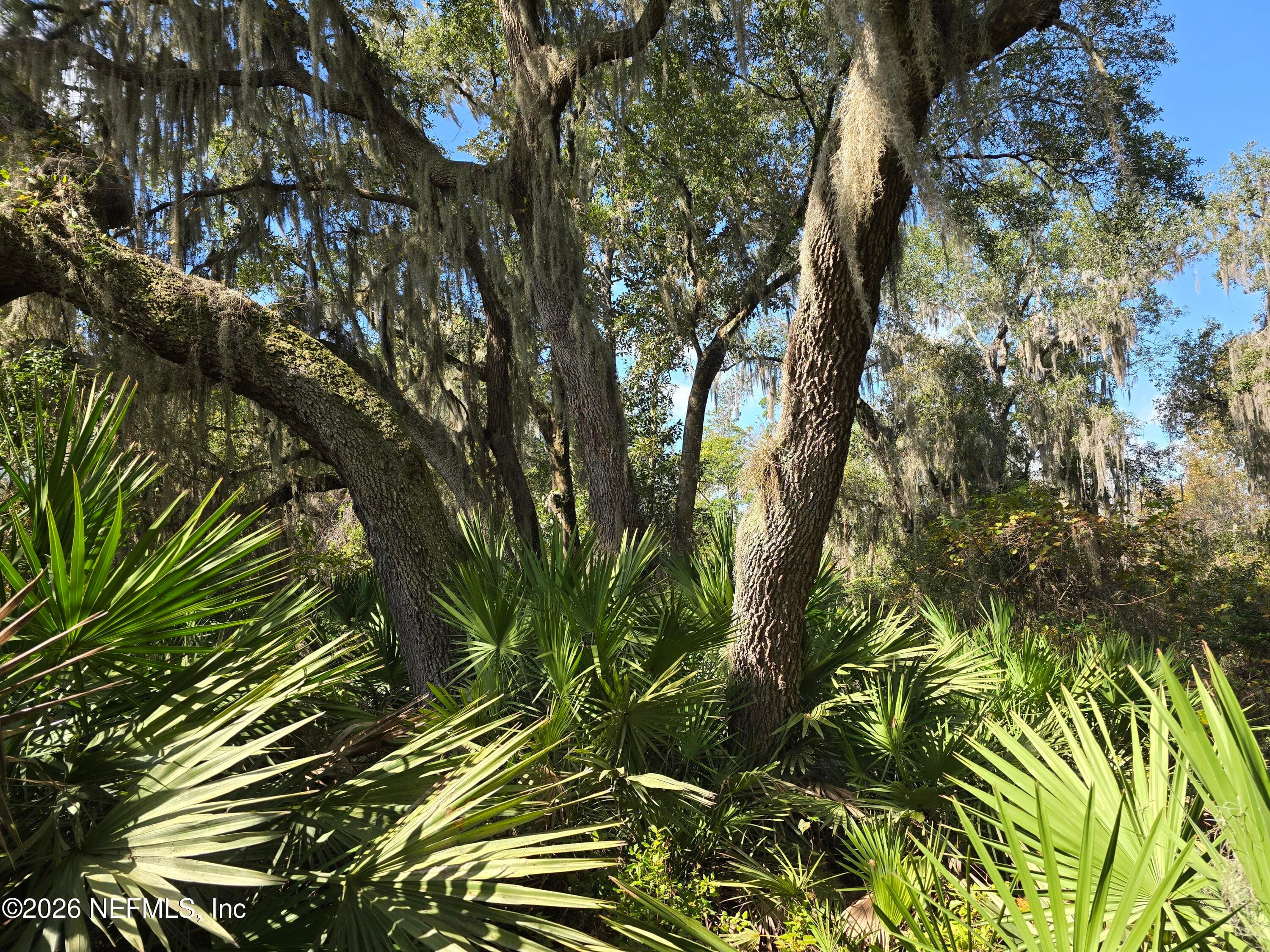 0 COUNTY ROAD 207A, East Palatka — photo 3
