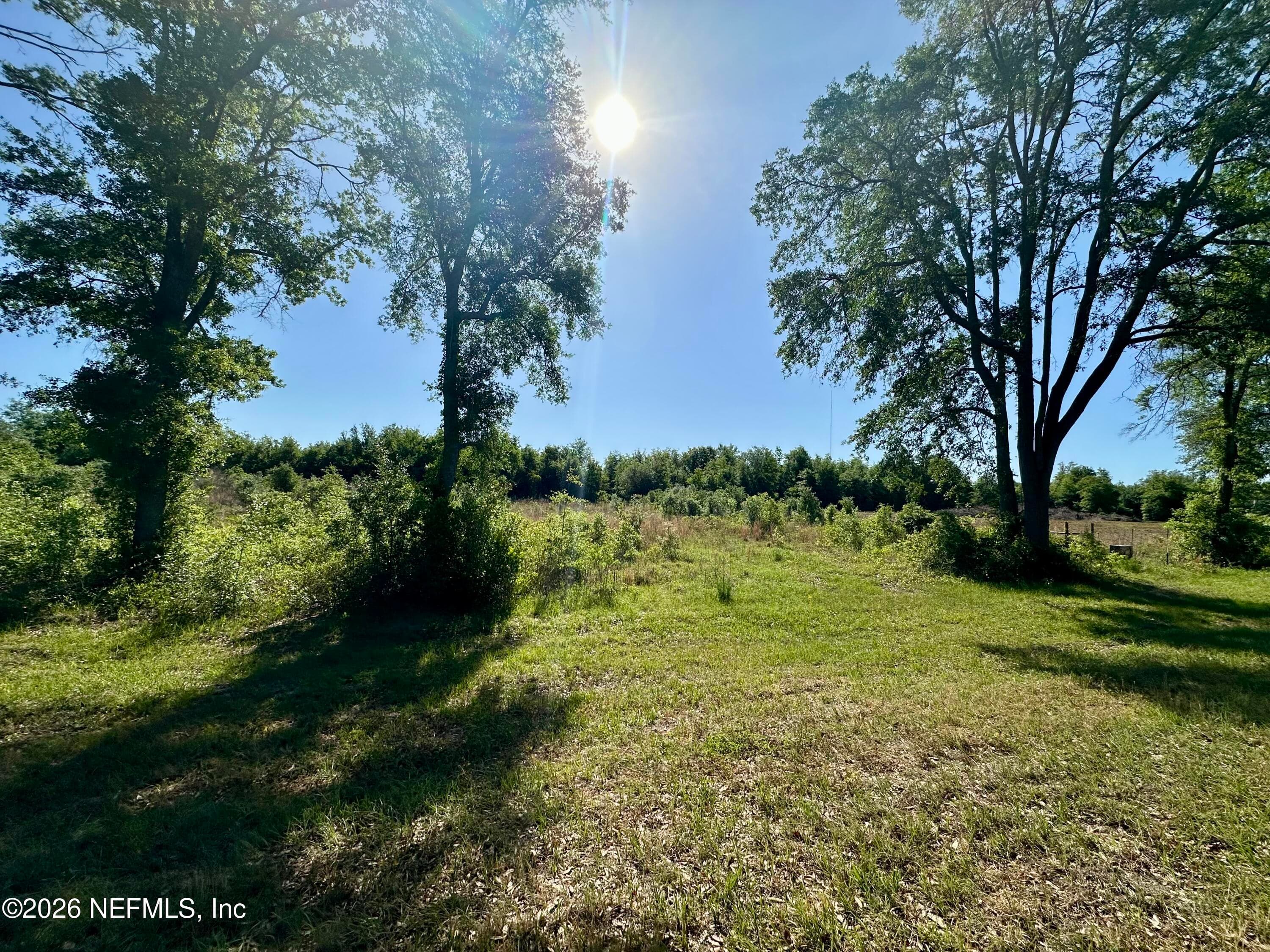 LOT 2 CO RD 49, McAlpin, FL 32062, McAlpin — exterior