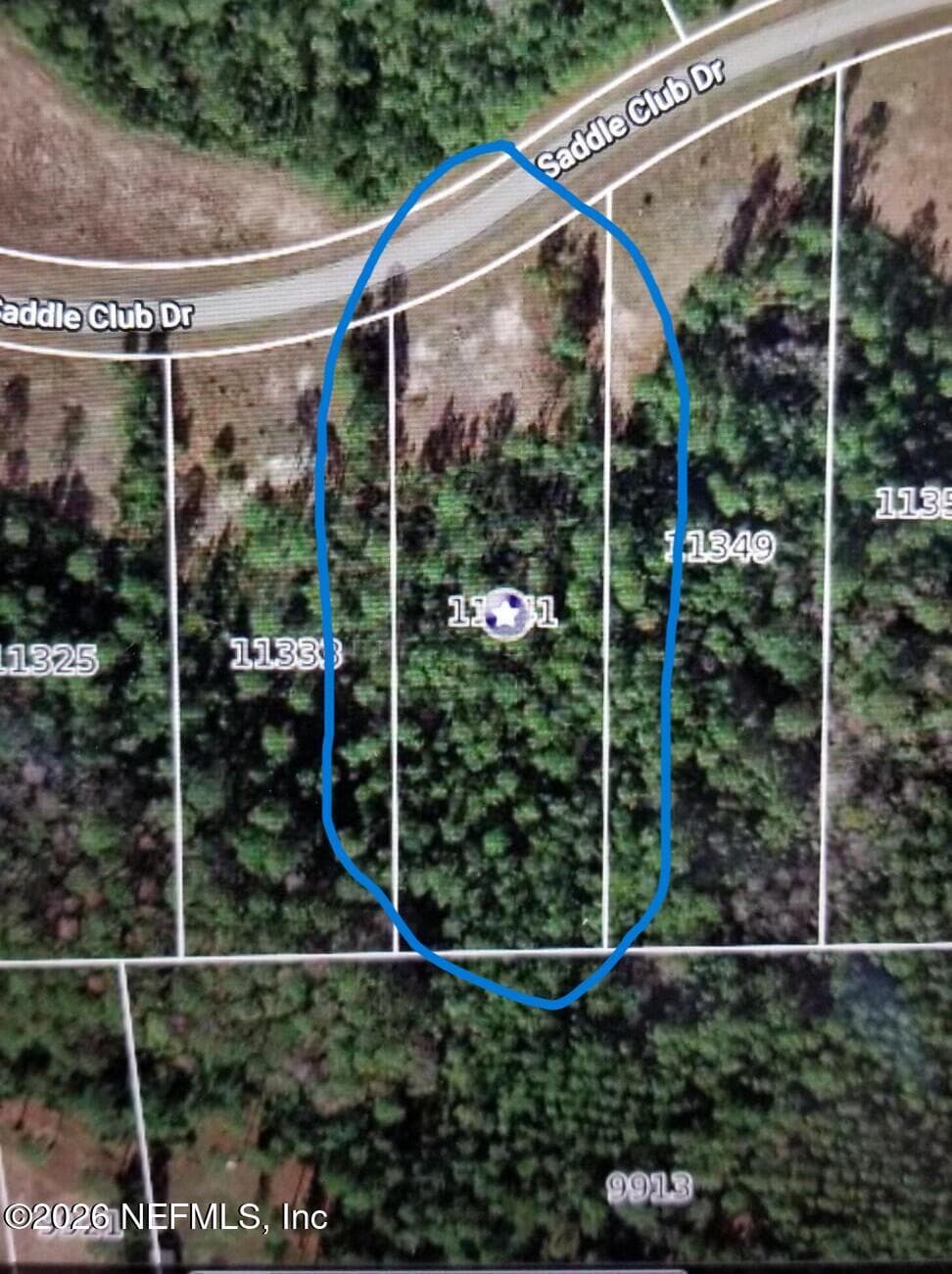 11341 SADDLE CLUB Drive, Jacksonville, FL 32219, Jacksonville — photo 3