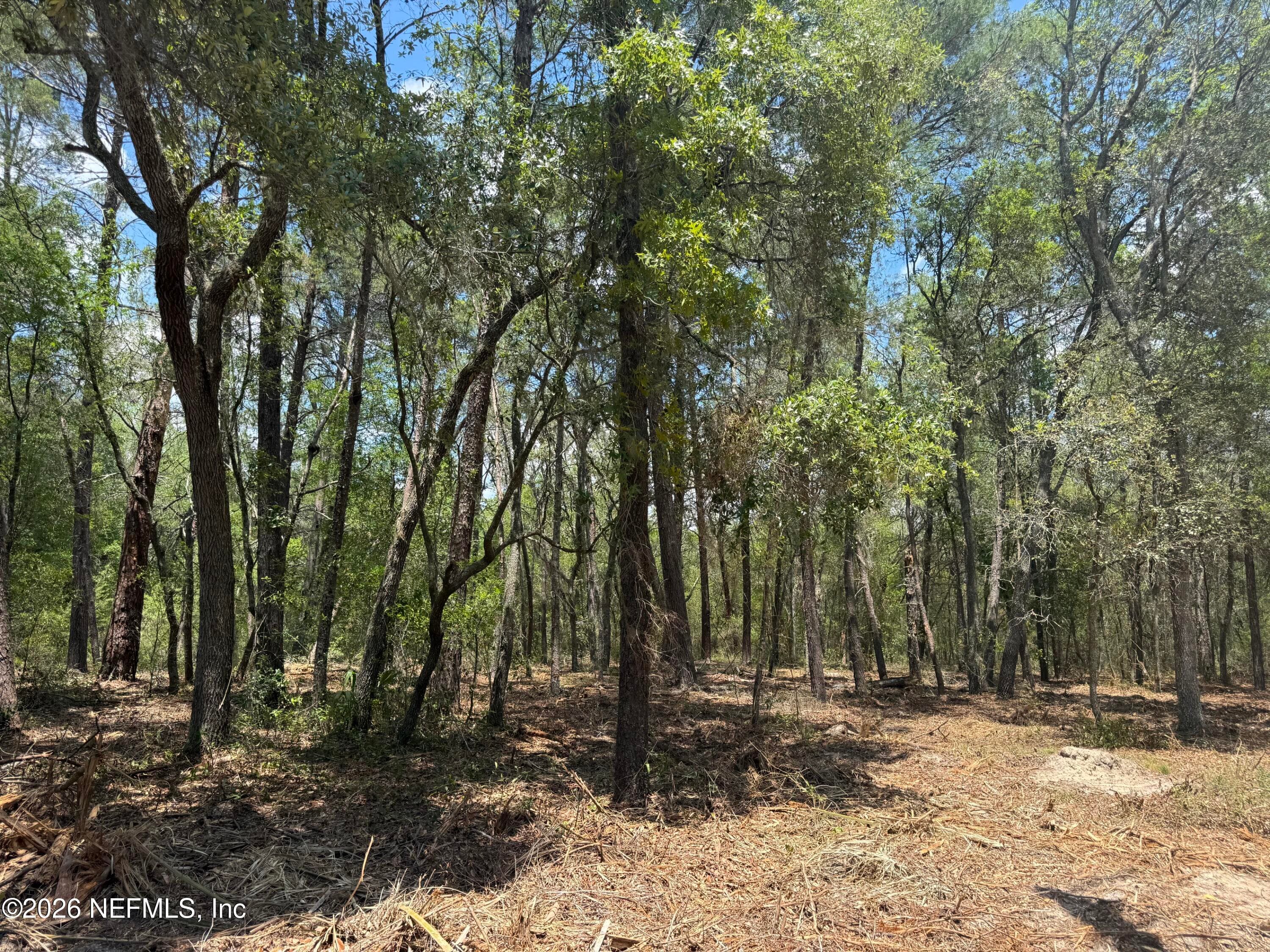 XXX S COUNTY ROAD 315, Interlachen — photo 3