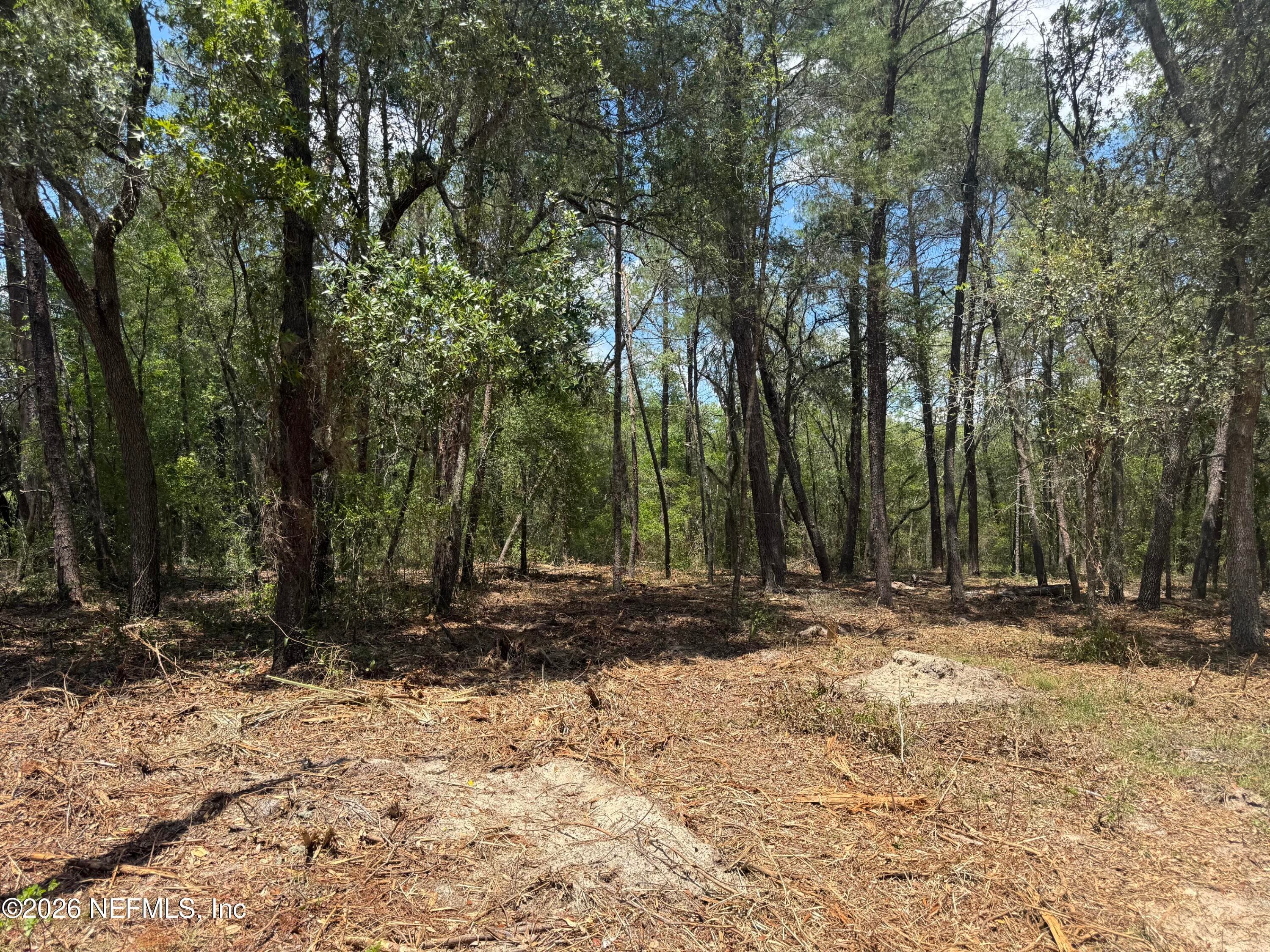 XXX S COUNTY ROAD 315, Interlachen — photo 2