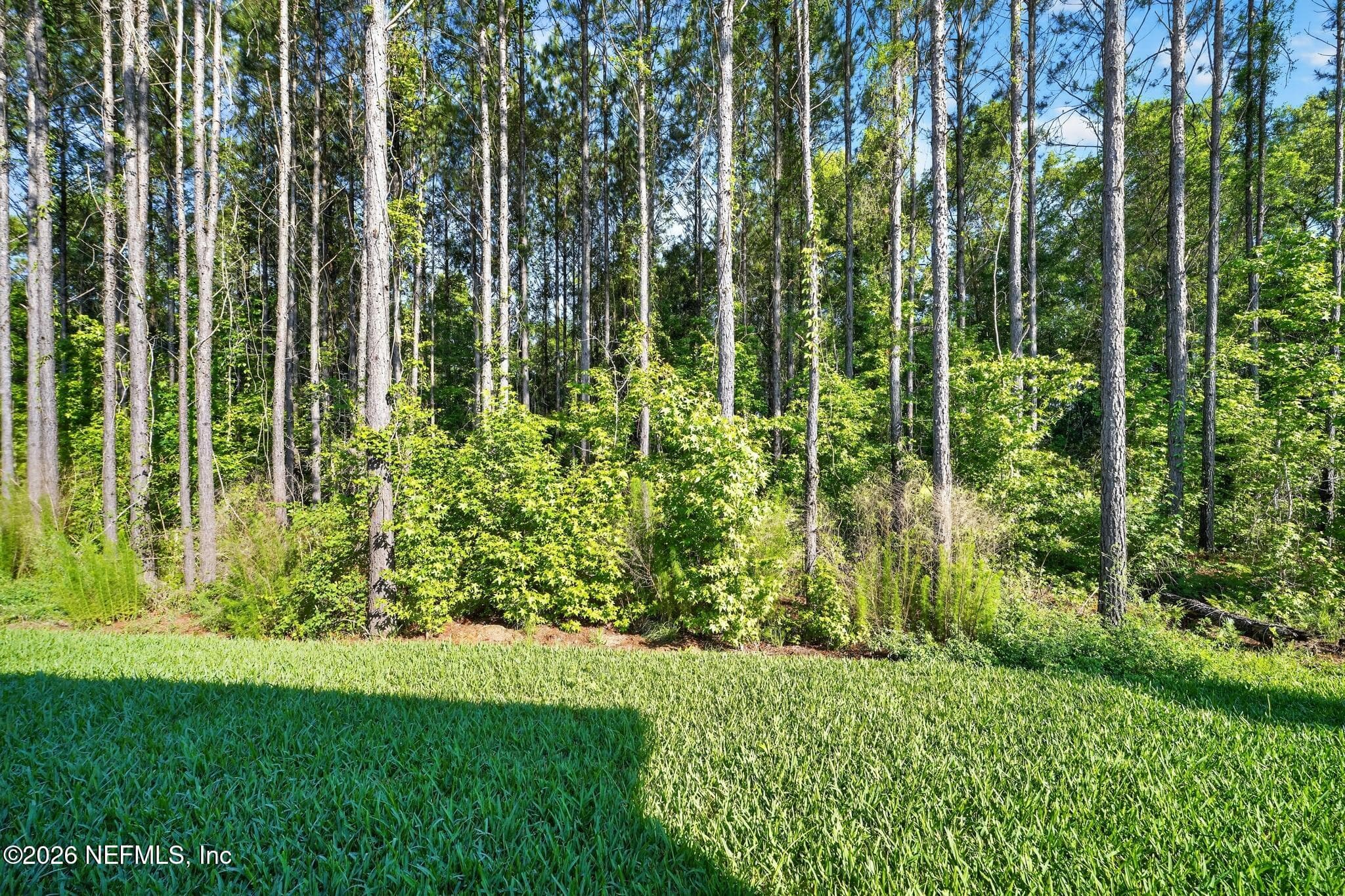 75505 BANYAN Way, Yulee — photo 3