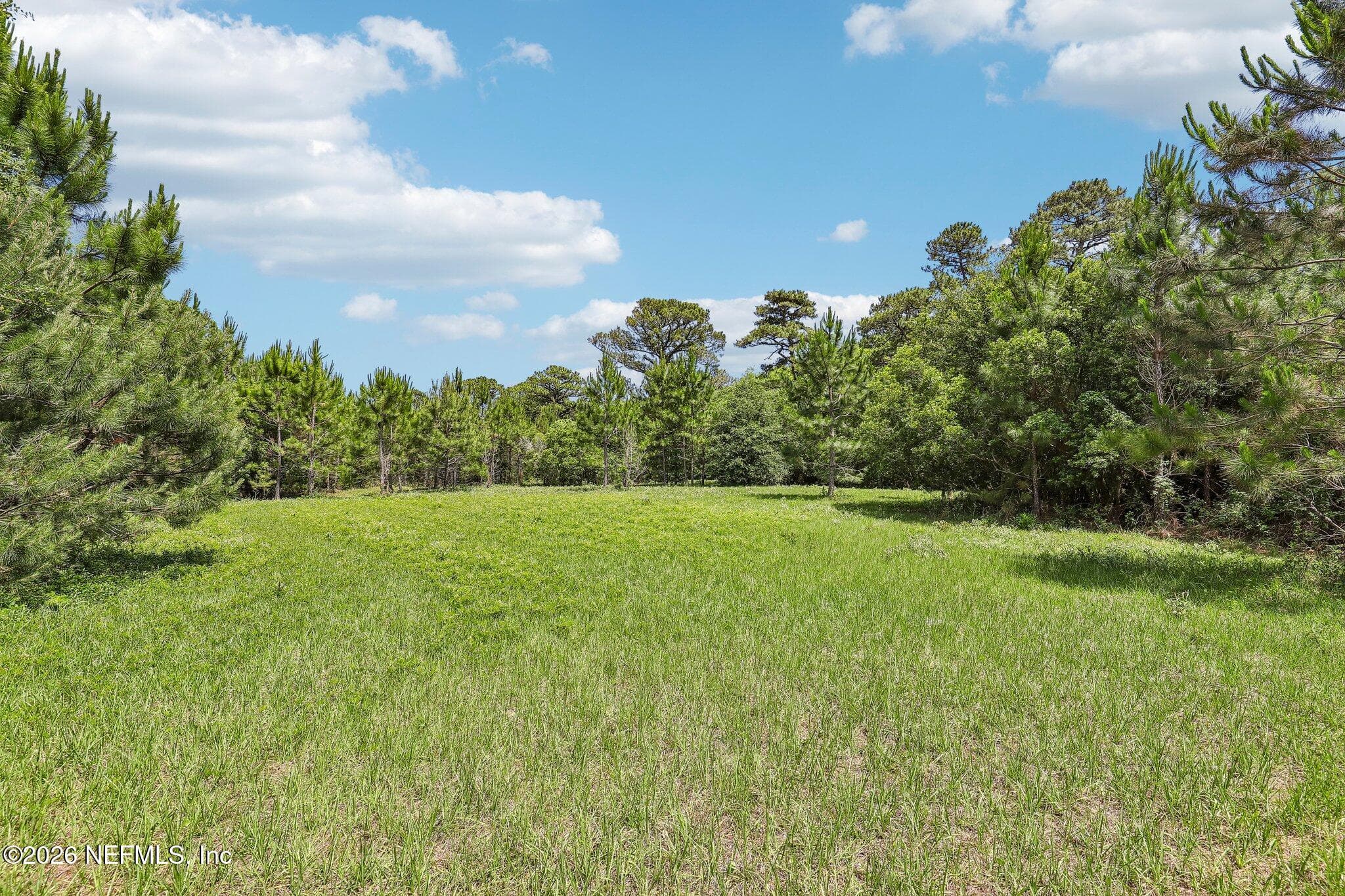 15976 RED BASS Drive, Jacksonville — photo 3