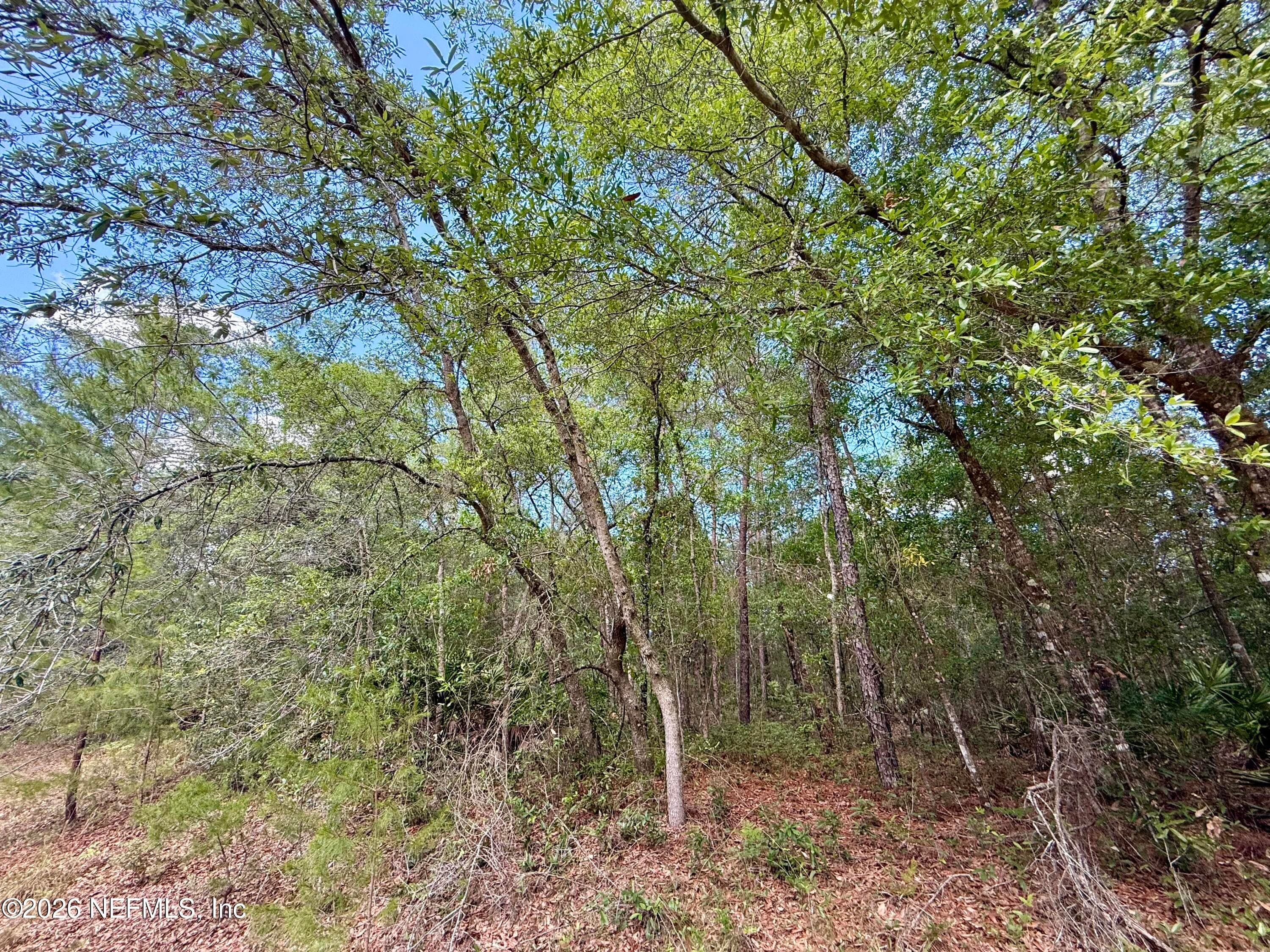 0140 USINA Avenue, Interlachen, FL 32148, Interlachen — photo 2