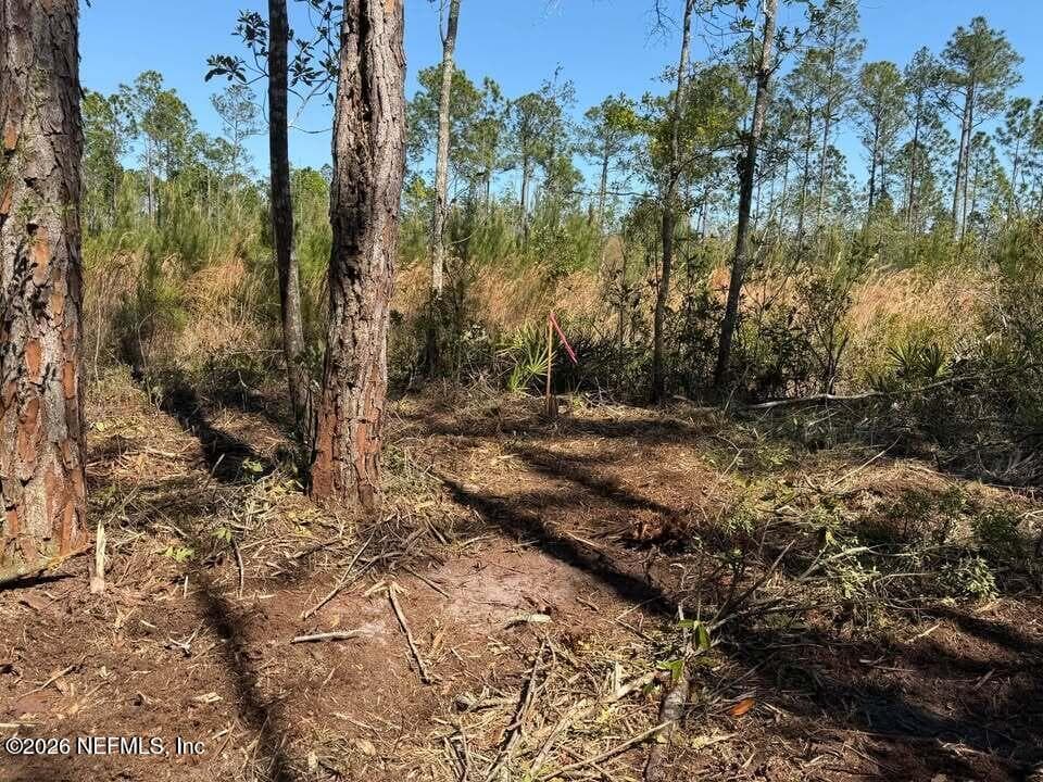 0 SE 125TH Street, Starke, FL 32091, Starke — photo 2