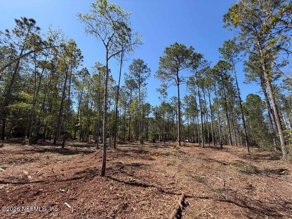 0 SE 125TH Street, Starke, FL 32091, Starke — photo 3