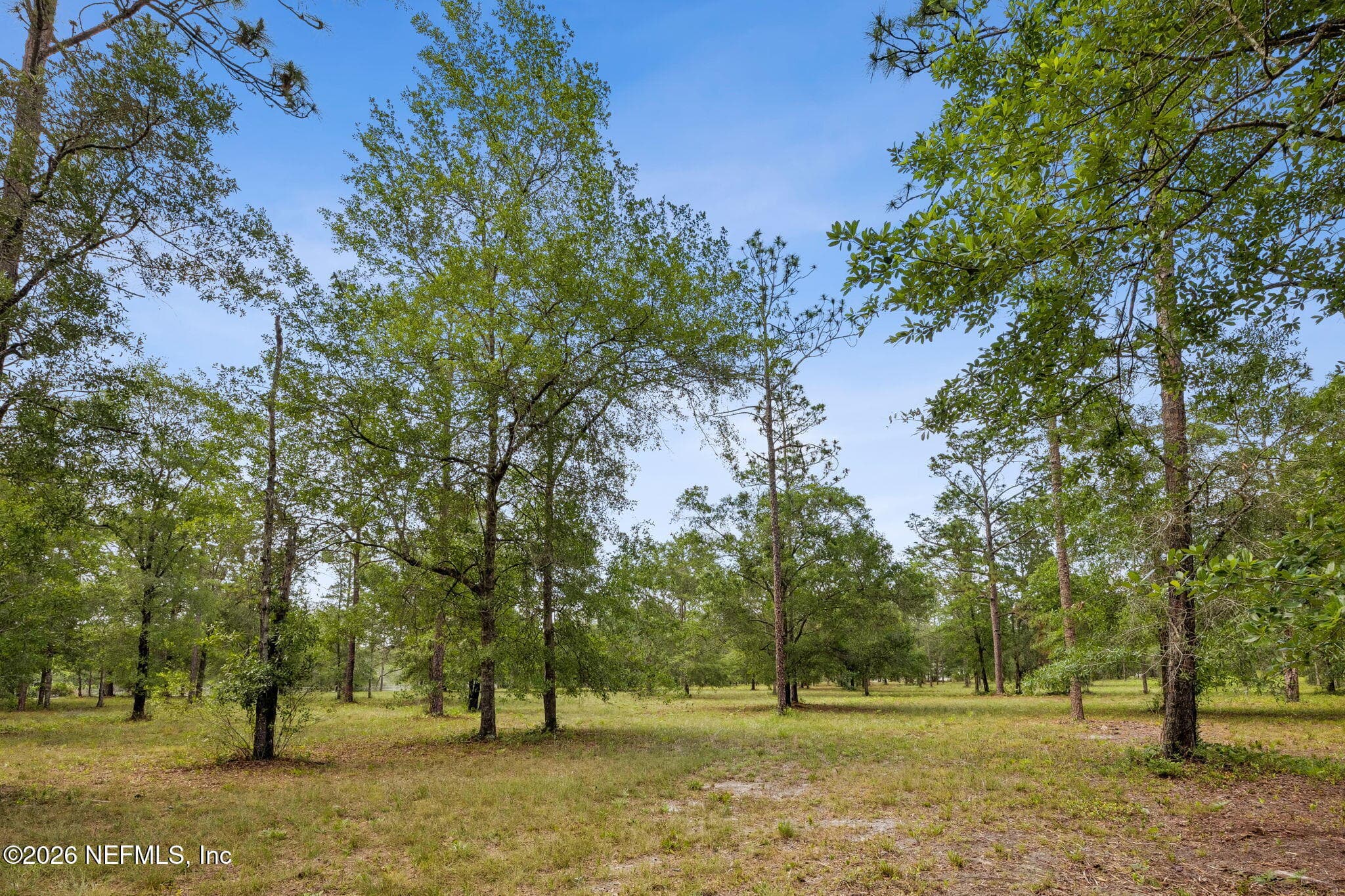 6015 PLANTATION Court, Keystone Heights, FL 32656, Keystone Heights — photo 2
