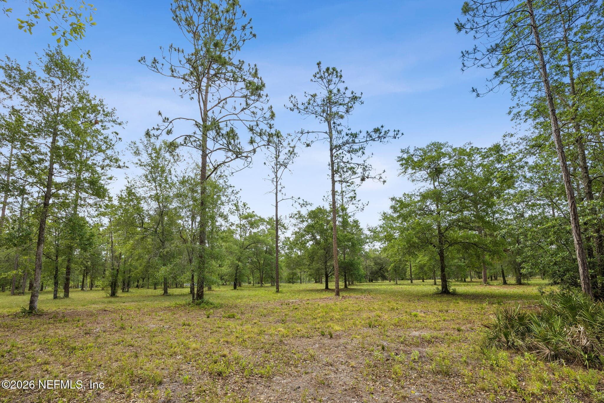 6015 PLANTATION Court, Keystone Heights, FL 32656, Keystone Heights — photo 3