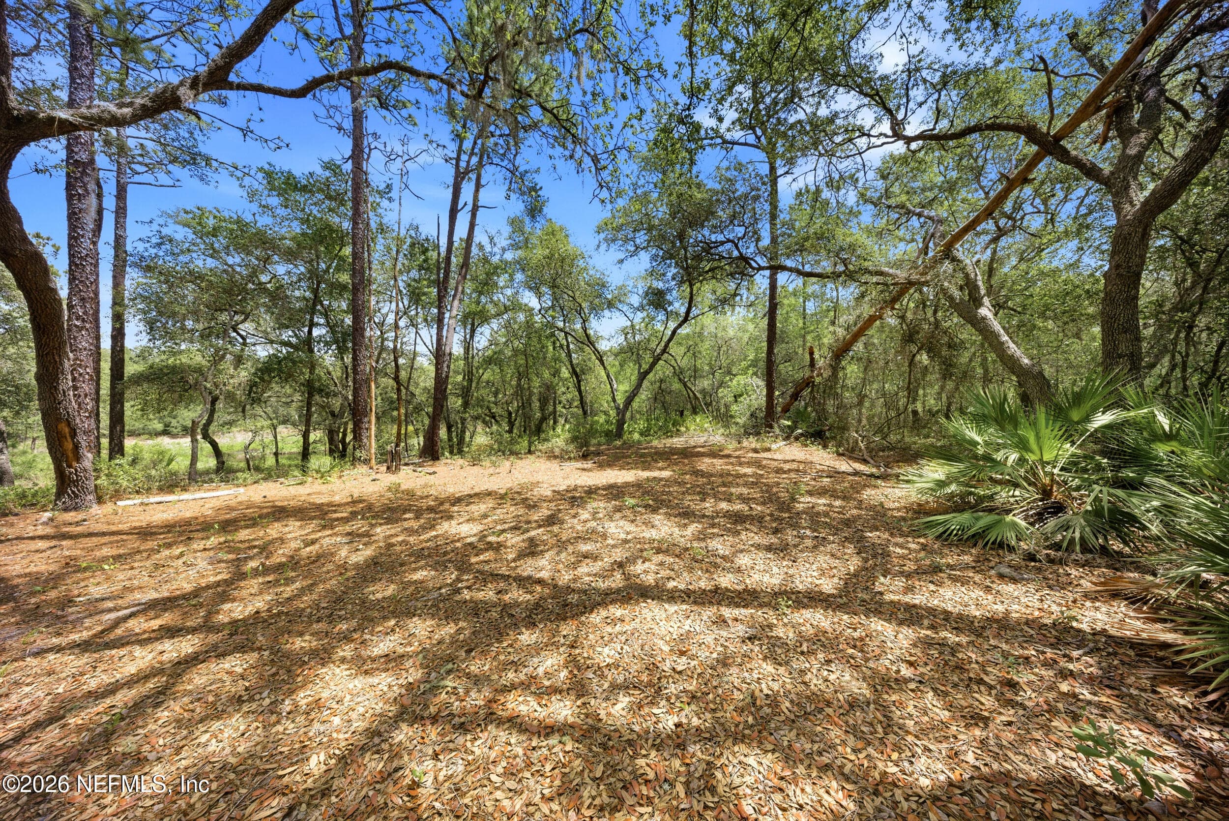 0 NE 115 AVENUE Avenue, Fort McCoy, FL 32134, Fort McCoy — photo 2
