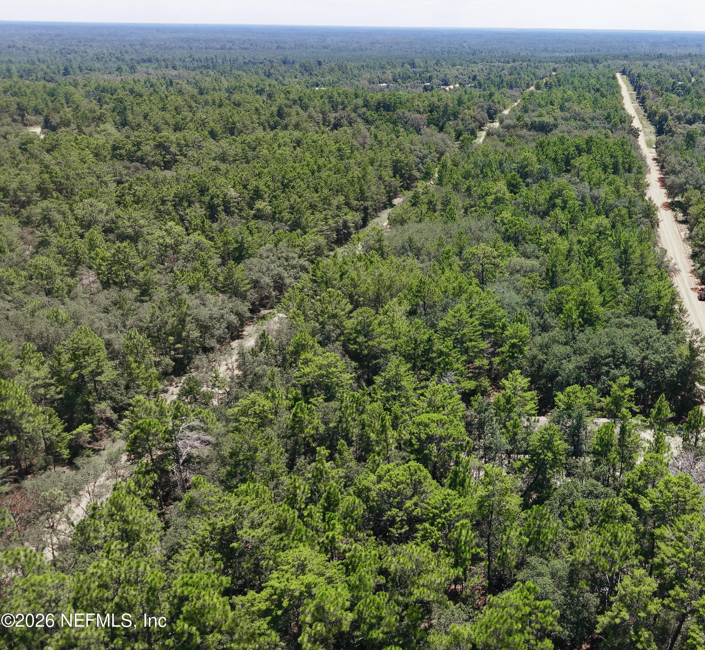 0 GLORIA Avenue, Interlachen, FL 32148, Interlachen — photo 3