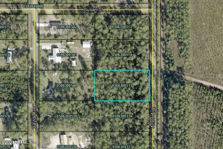 10225 AMOS Avenue, Hastings, FL 32145, Hastings — exterior