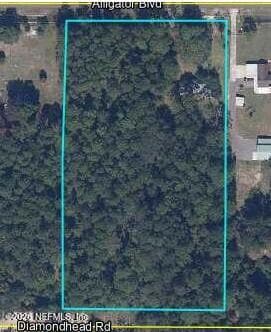 4843 ALLIGATOR Boulevard, Middleburg — photo 2