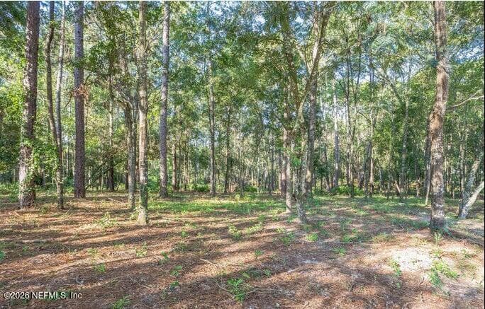 4843 ALLIGATOR Boulevard, Middleburg — exterior