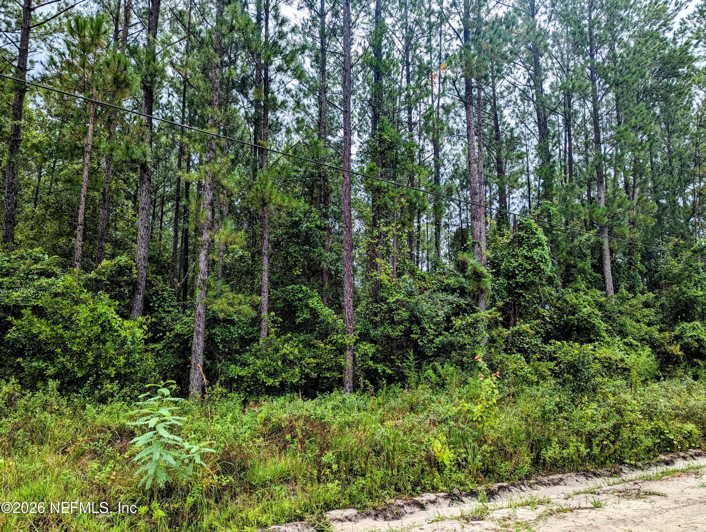 4436 LORI LOOP Road, Keystone Heights, FL 32656, Keystone Heights — photo 2