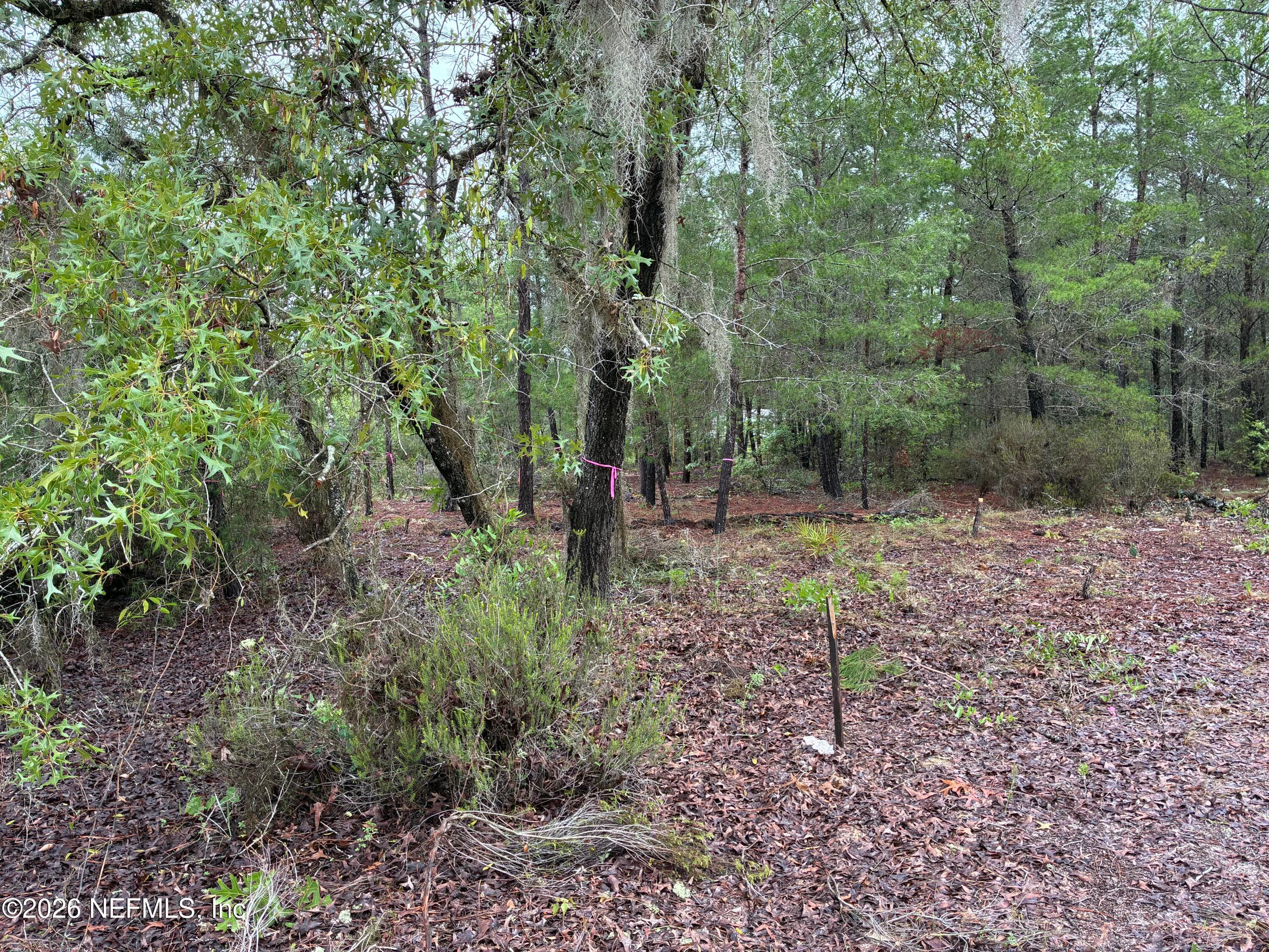 204 GLASGOW Street, Interlachen, FL 32148, Interlachen — photo 2