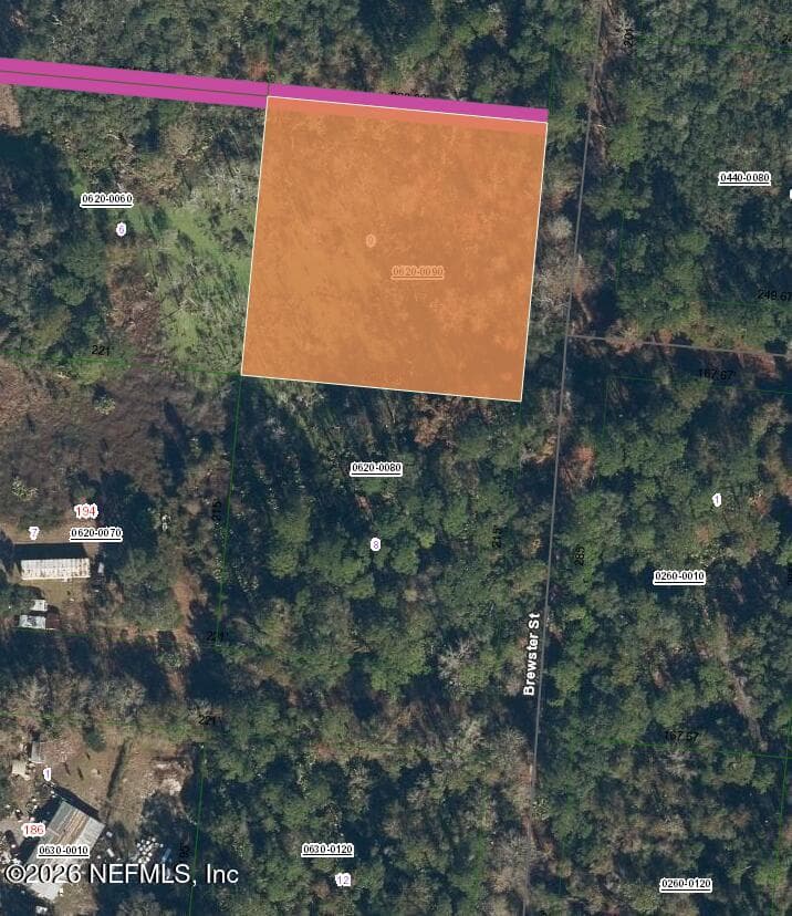 115 BREWSTER Street, Satsuma, FL 32189, Satsuma — exterior