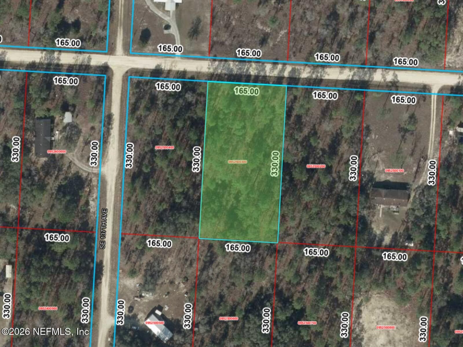0 SE 25TH Street, Morriston, FL 32668, Morriston — photo 3