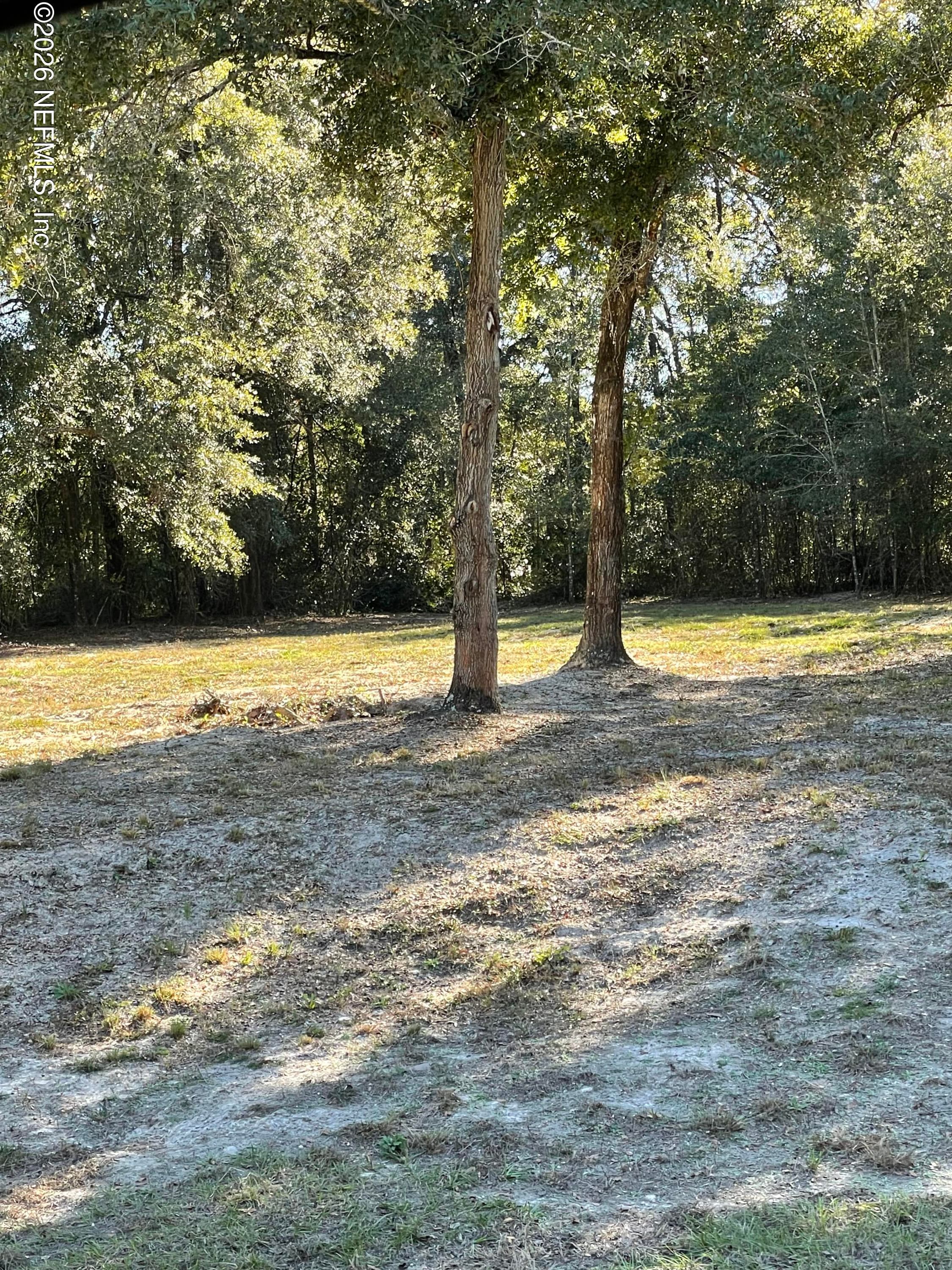1721 HAGANS RIDGE Court, Green Cove Springs, FL 32043, Green Cove Springs — exterior