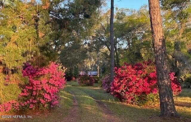 751 N HIGHWAY 17, Palatka — photo 3