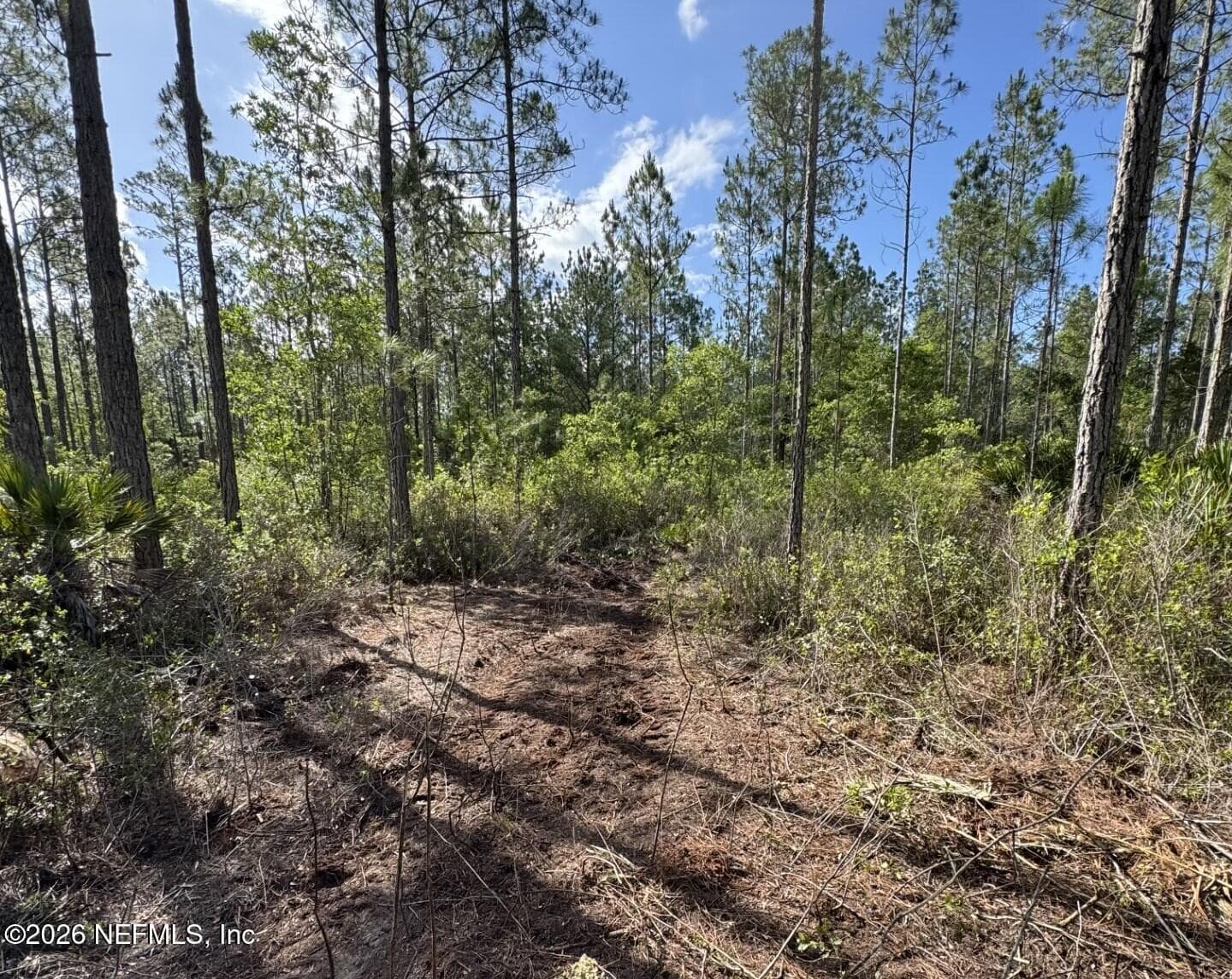 114 WOMP Lane, Palatka, FL 32177, Palatka — exterior