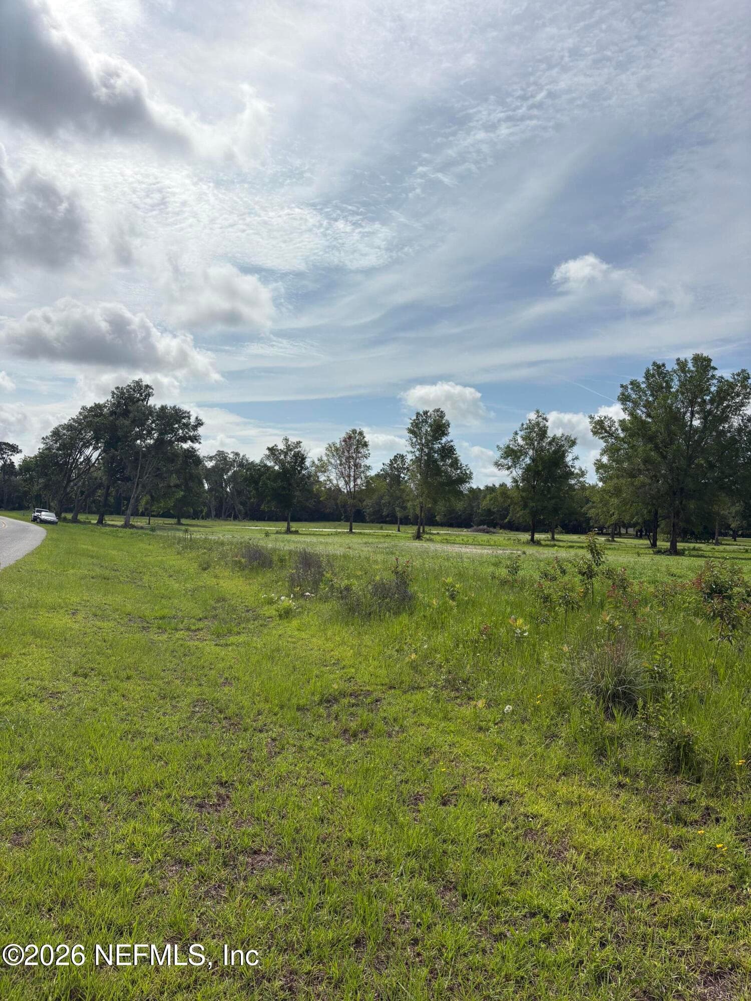 160TH 160TH PATH, Wellborn, FL 32094, Wellborn — photo 3