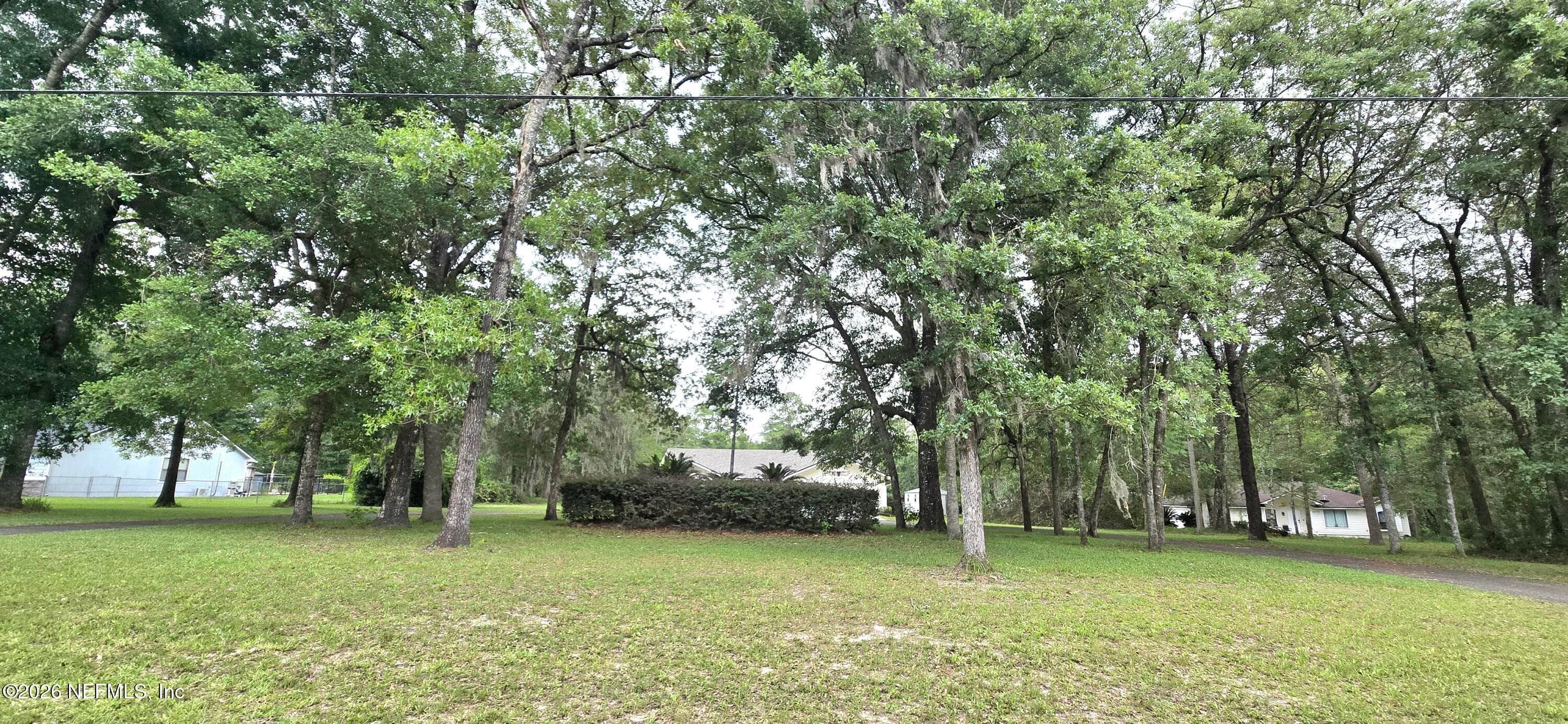 2873 FENNEL Avenue, Middleburg, FL 32068, Middleburg — photo 3