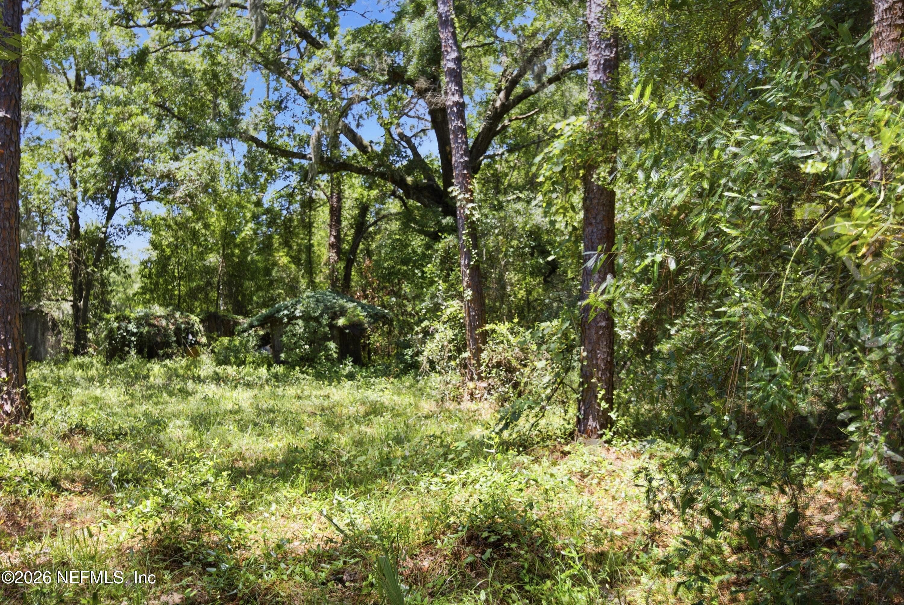 11265 LOCKE Lane, Jacksonville, FL 32218, Jacksonville — photo 2
