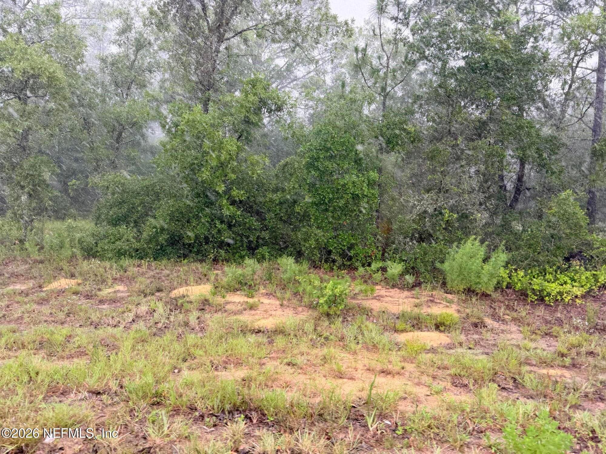 5628 COUNTY ROAD 214, Keystone Heights, FL 32656, Keystone Heights — exterior