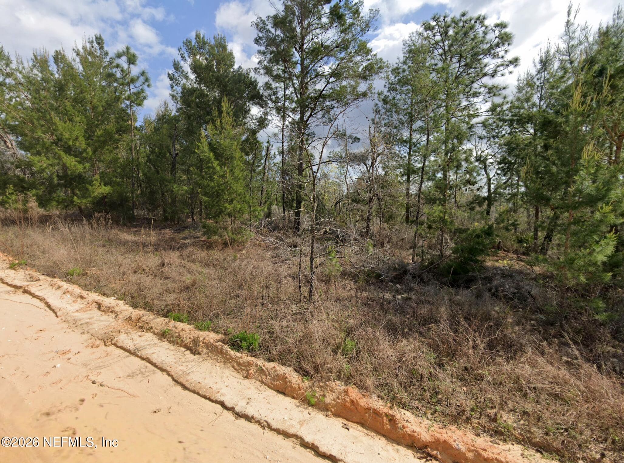 214 AKRON Street, Interlachen, FL 32148, Interlachen — photo 3