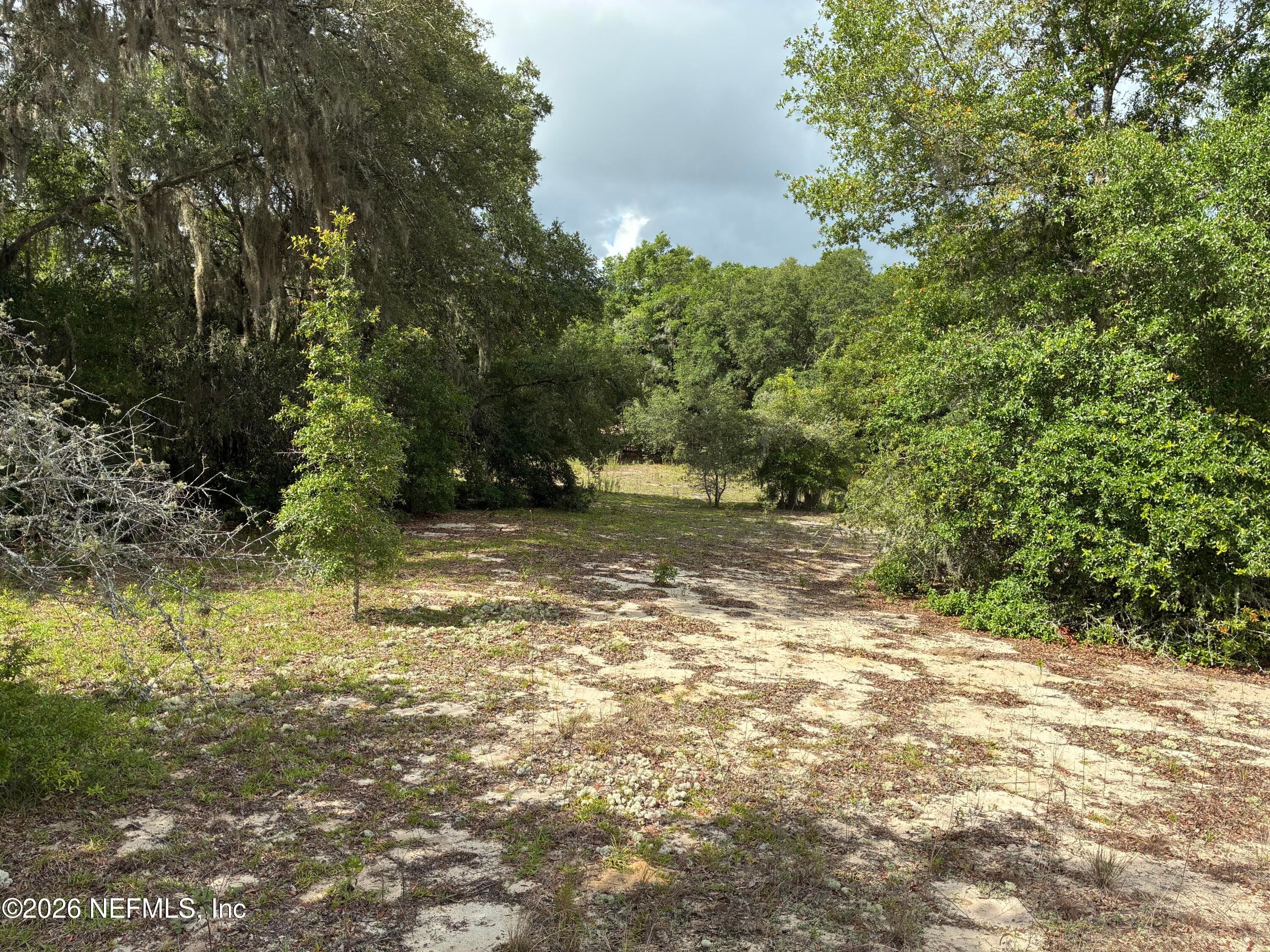 0220 CHESSER MONROE Road, Hawthorne, FL 32640, Hawthorne — photo 2