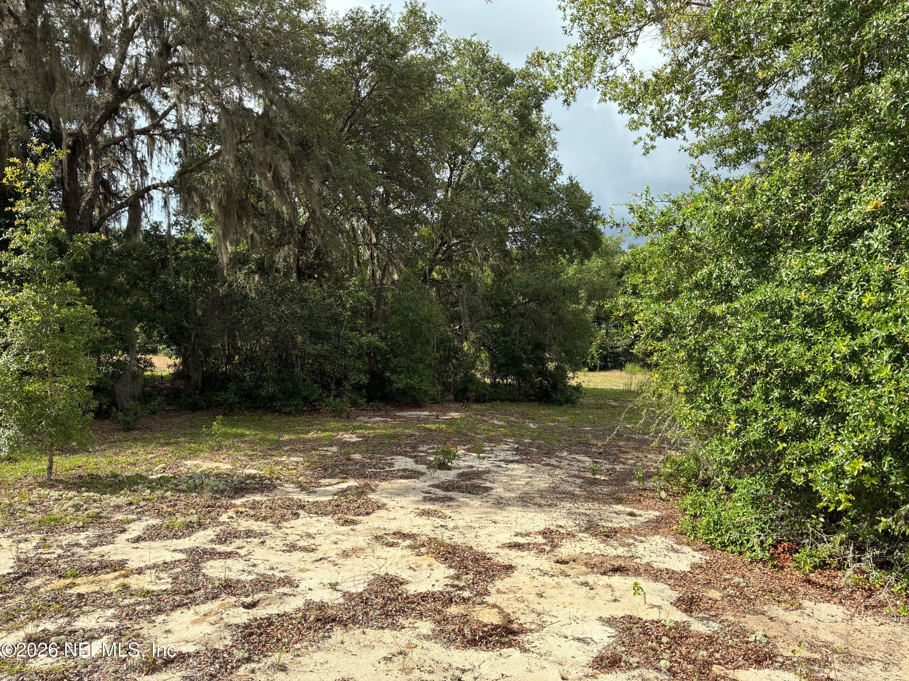 0220 CHESSER MONROE Road, Hawthorne, FL 32640, Hawthorne — photo 3
