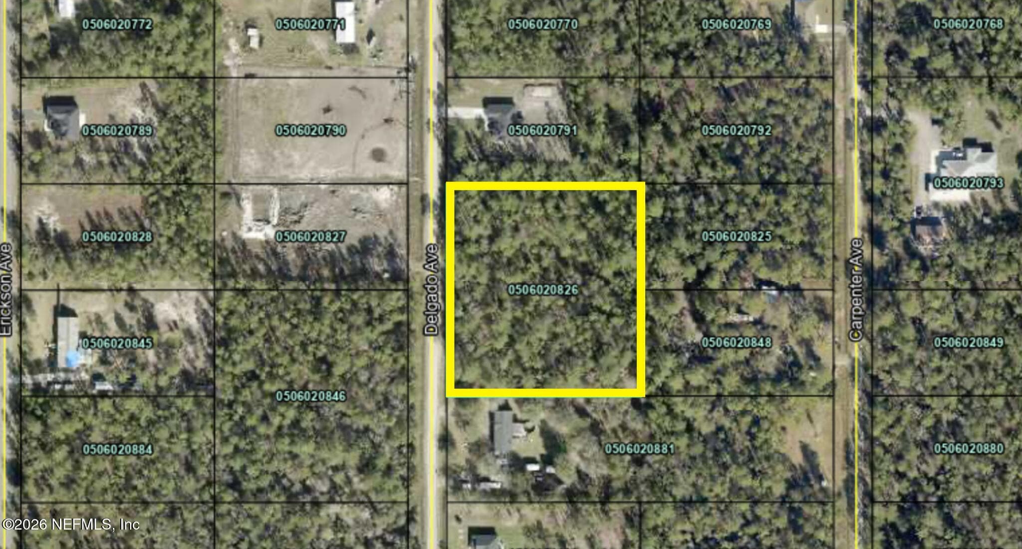 10270 DELGADO Avenue, Hastings, FL 32145, Hastings — photo 2