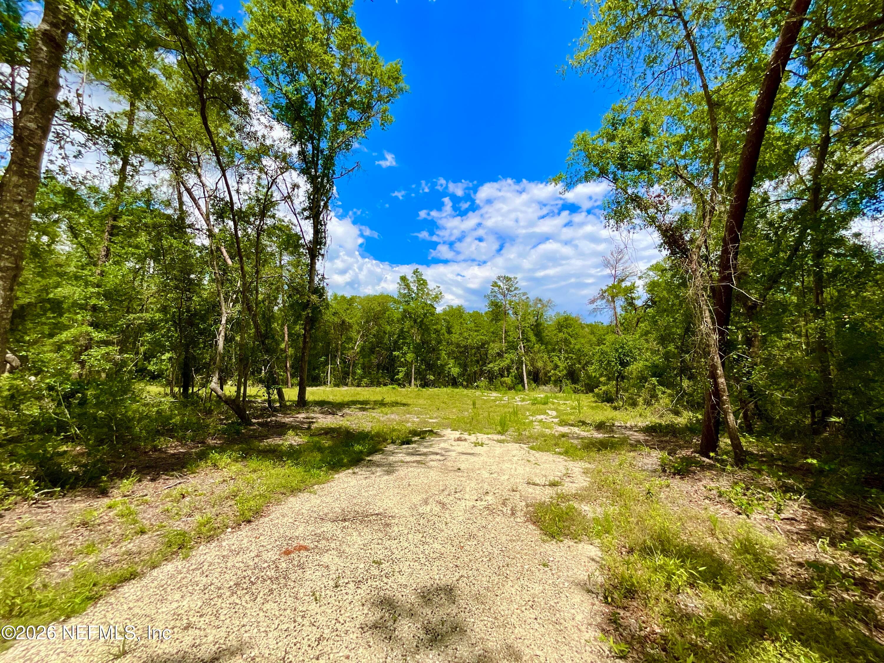 952 S CO RD 21, Hawthorne, FL 32640, Hawthorne — photo 2