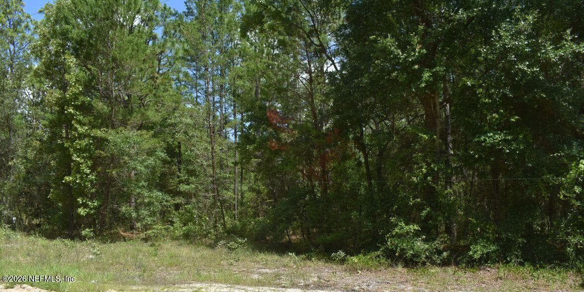 7223 DUKE Street, Keystone Heights, FL 32656, Keystone Heights — photo 2
