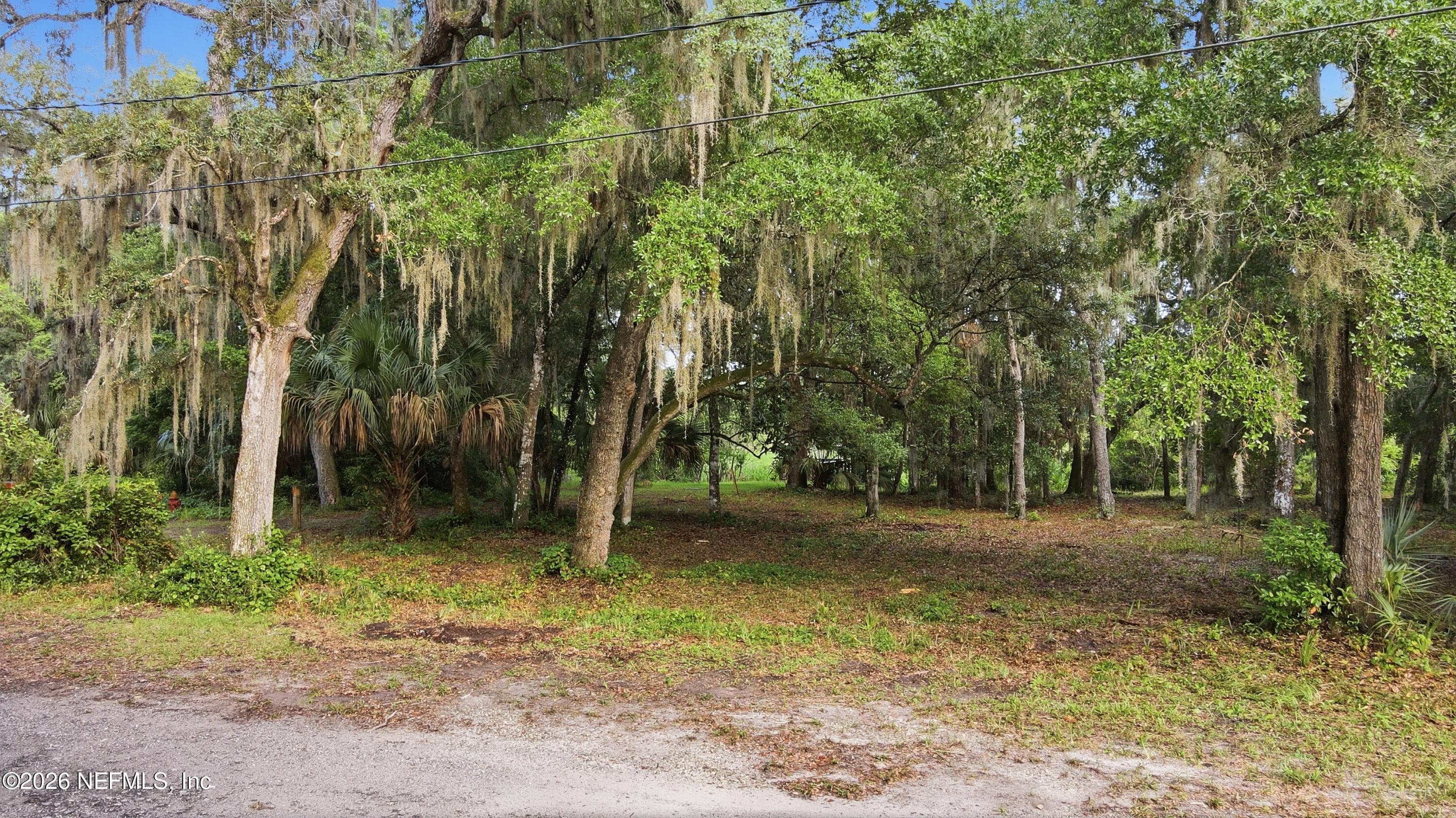 633 MCCLURE Street, Welaka, FL 32193, Welaka — photo 3