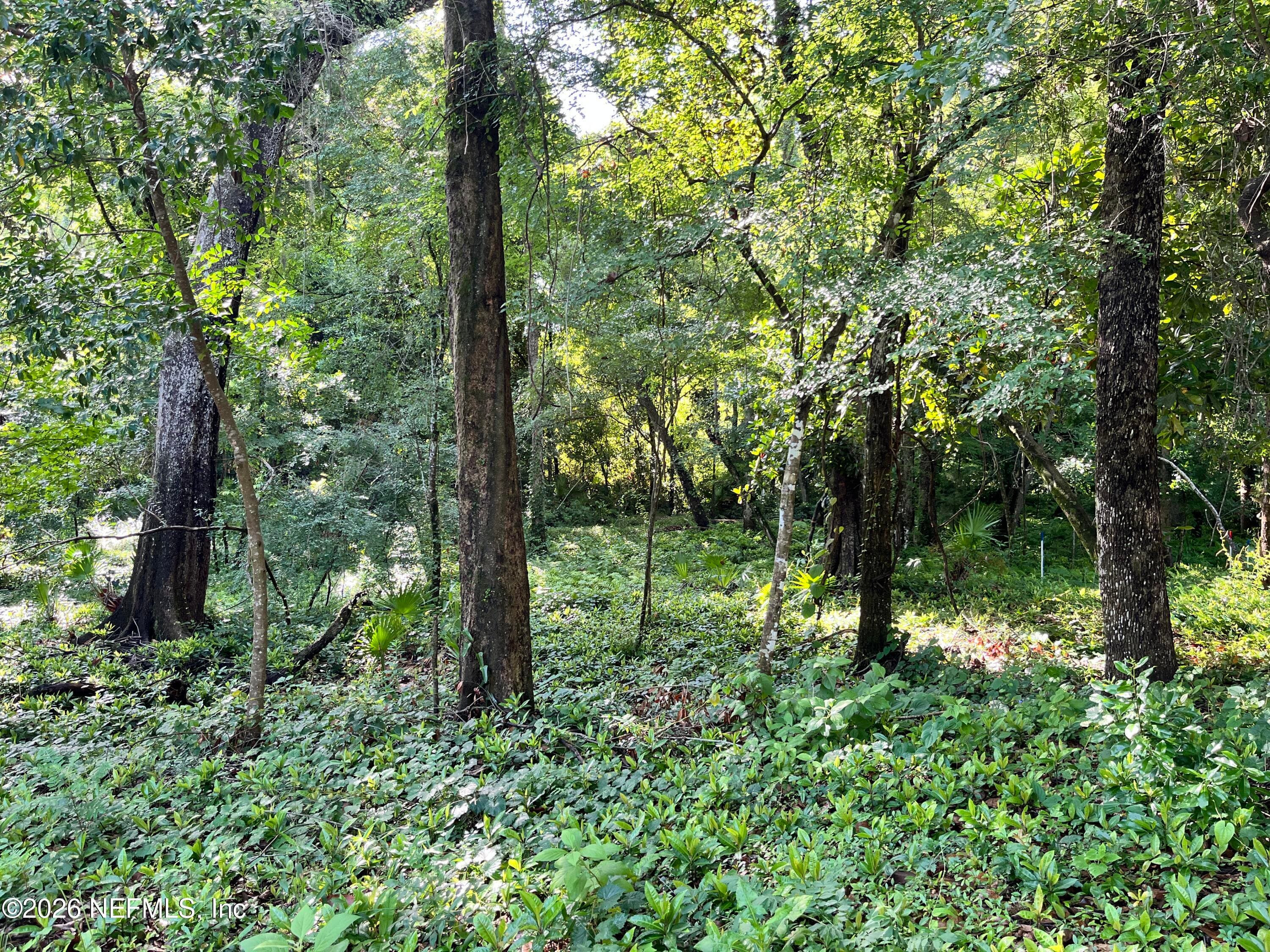 0 MYRON Court, St. Johns, FL 32259, St. Johns — photo 2