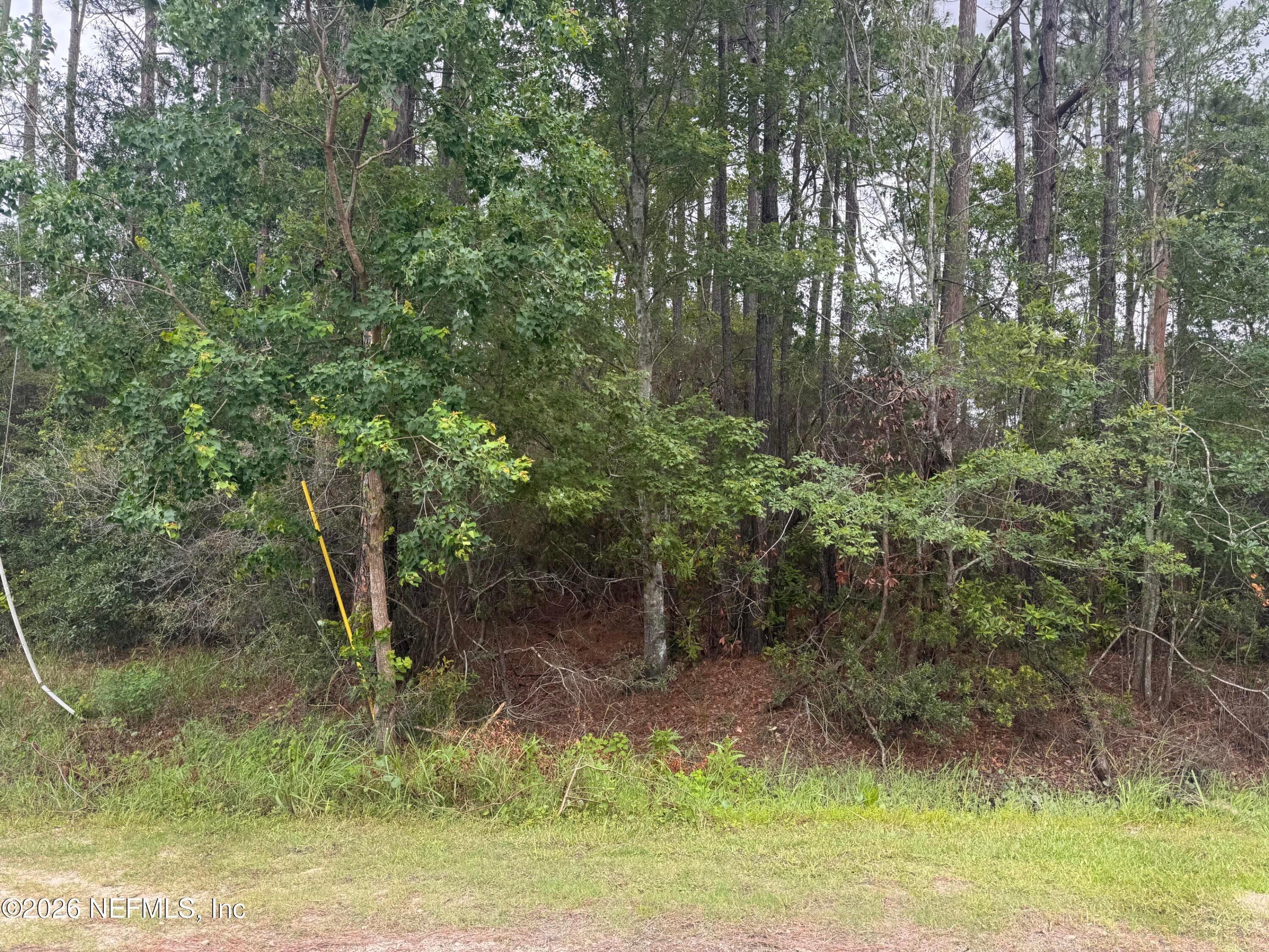 0 VILLAGE GREEN Drive, Jacksonville, FL 32234, Jacksonville — photo 2
