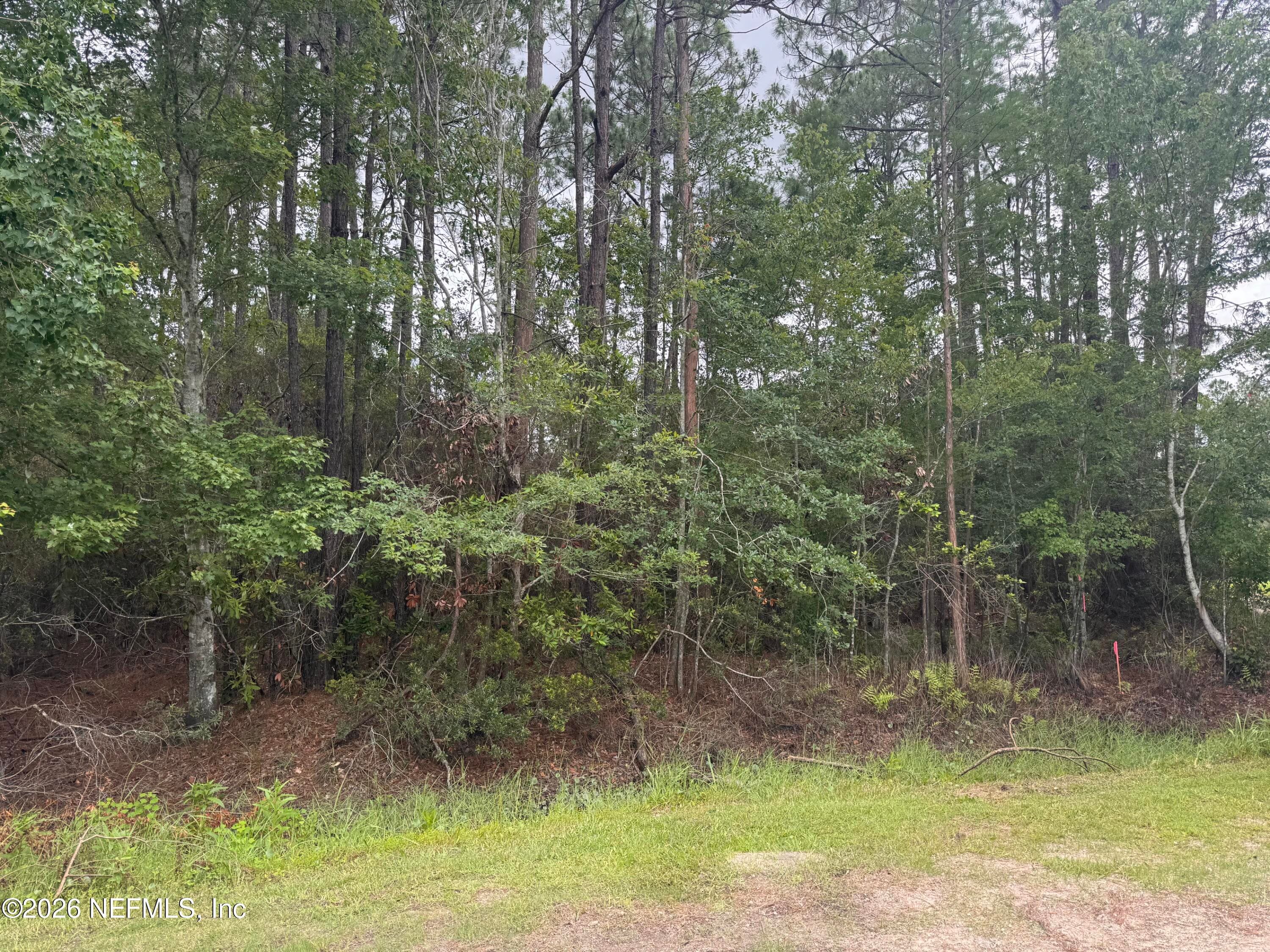 0 VILLAGE GREEN Drive, Jacksonville, FL 32234, Jacksonville — photo 3