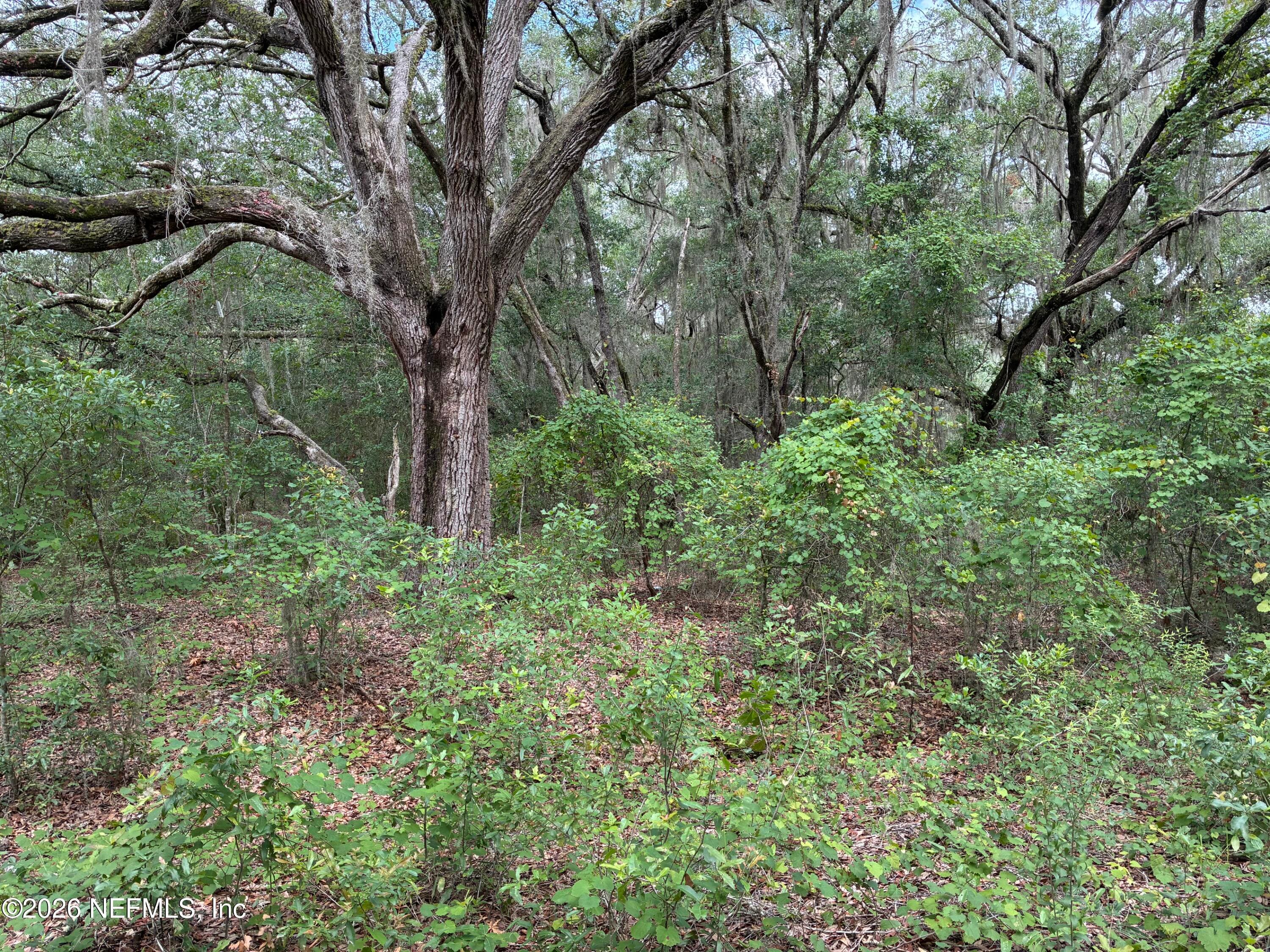 107 LAUREL Drive, Hawthorne, FL 32640, Hawthorne — photo 2