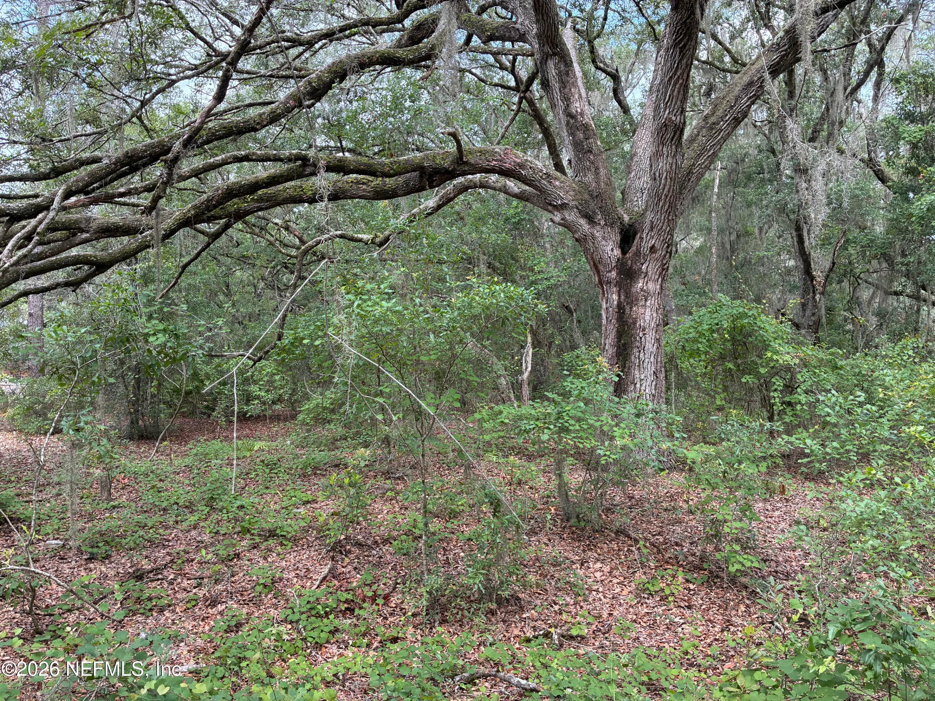 107 LAUREL Drive, Hawthorne, FL 32640, Hawthorne — photo 3