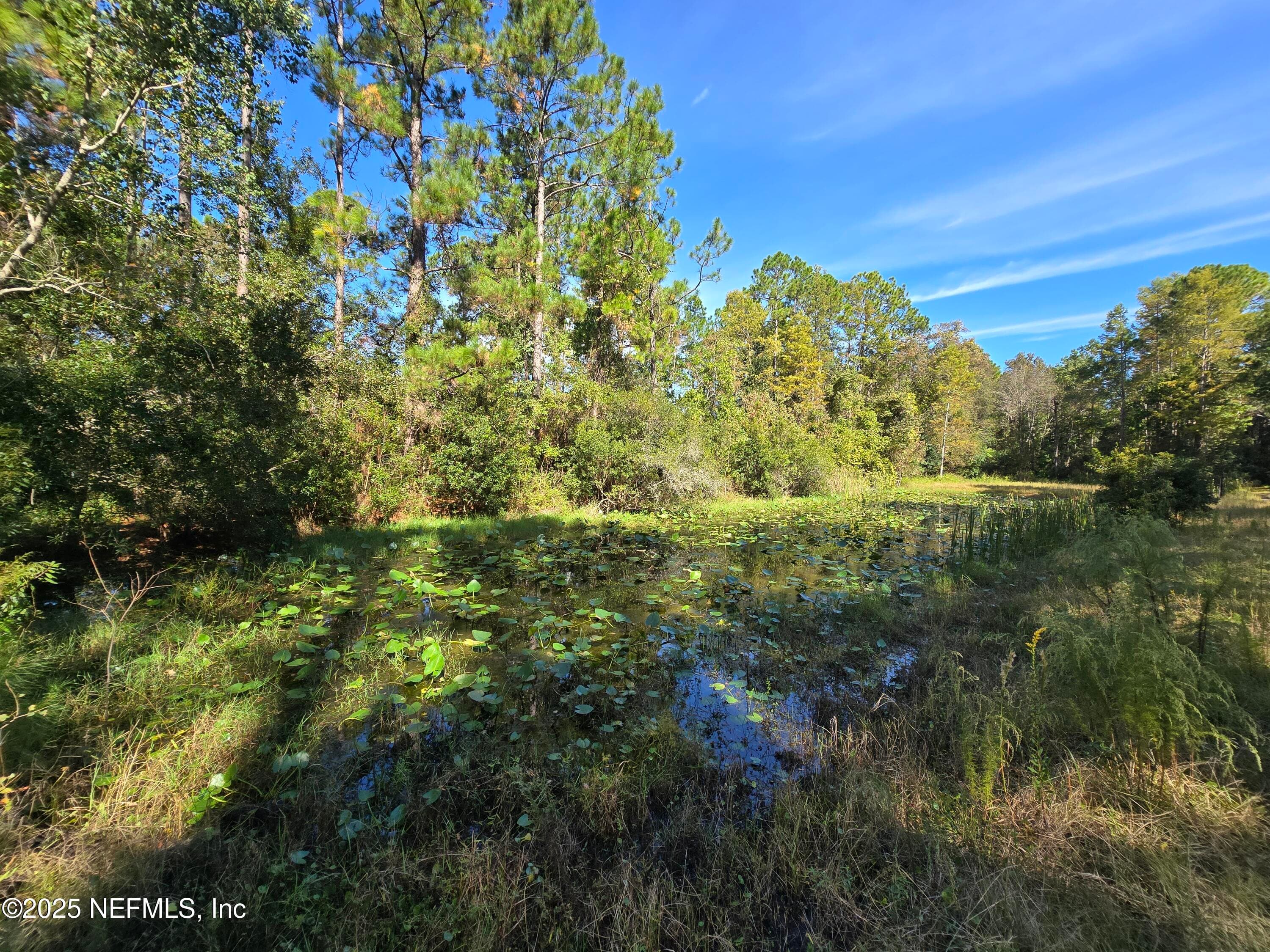 3163 LANNIE Road, Jacksonville — photo 3