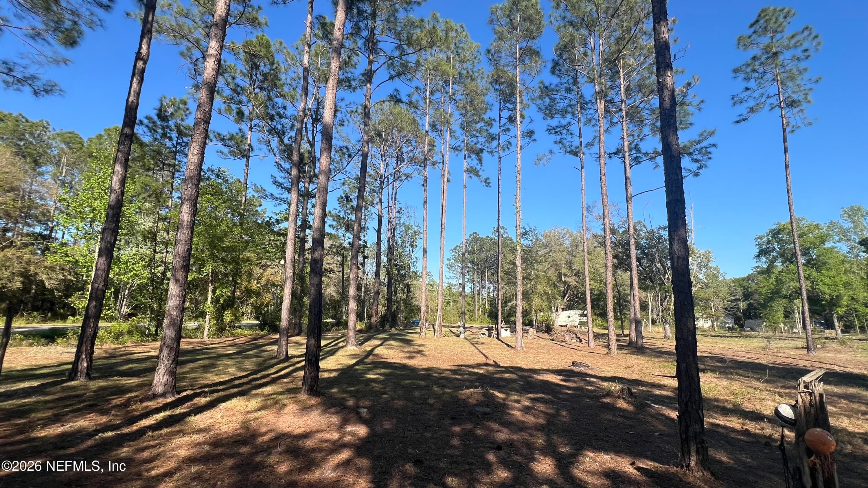 4698 HELENA Street, Hastings, FL 32145, Hastings — exterior