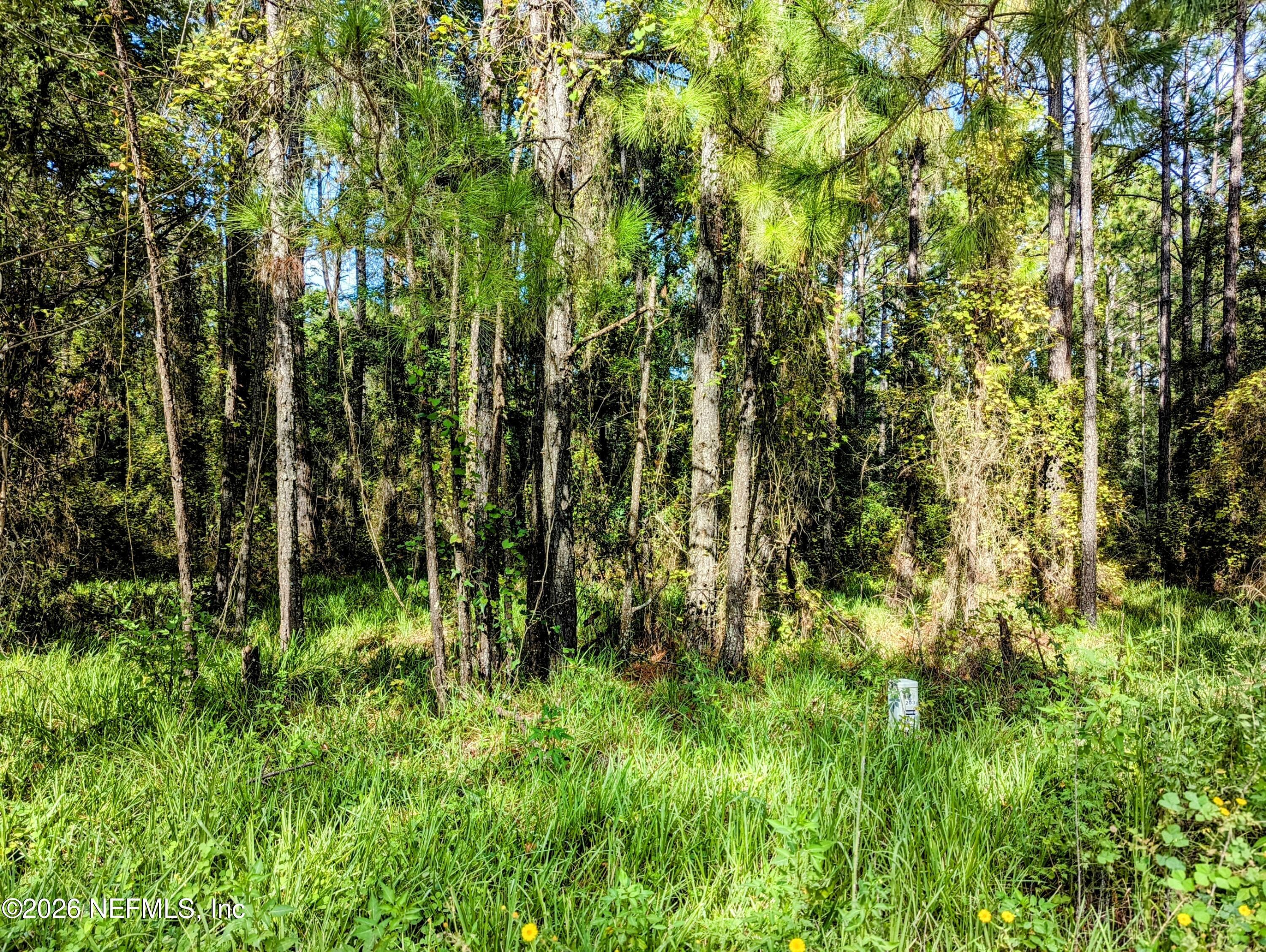 000 NE US HWY 301, Waldo, FL 32694, Waldo — photo 2