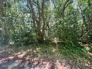 205 WASHINGTON Avenue, Green Cove Springs, FL 32043, Green Cove Springs — photo 2