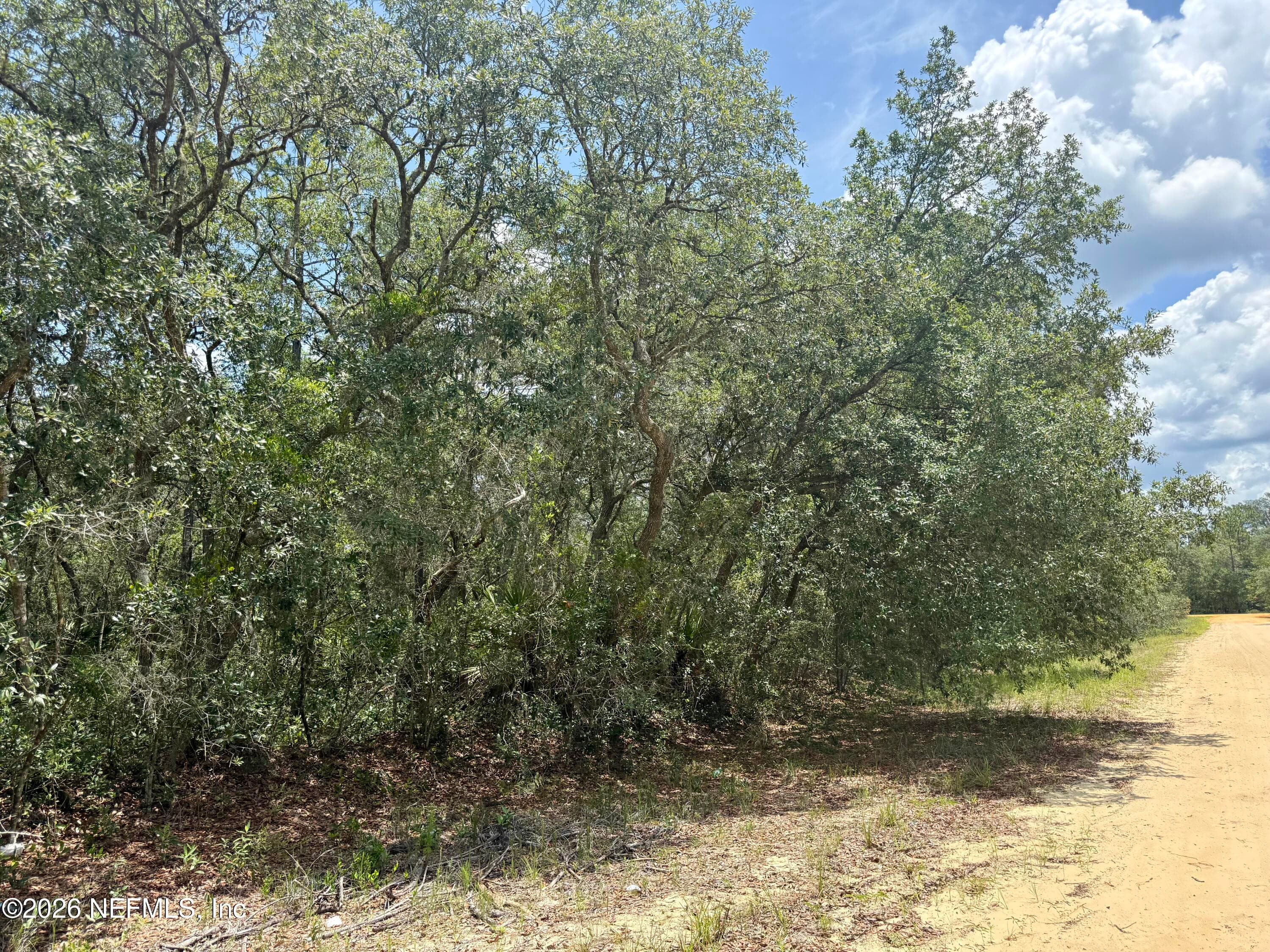 XXX WALLACE Street, Interlachen, FL 32148, Interlachen — photo 3