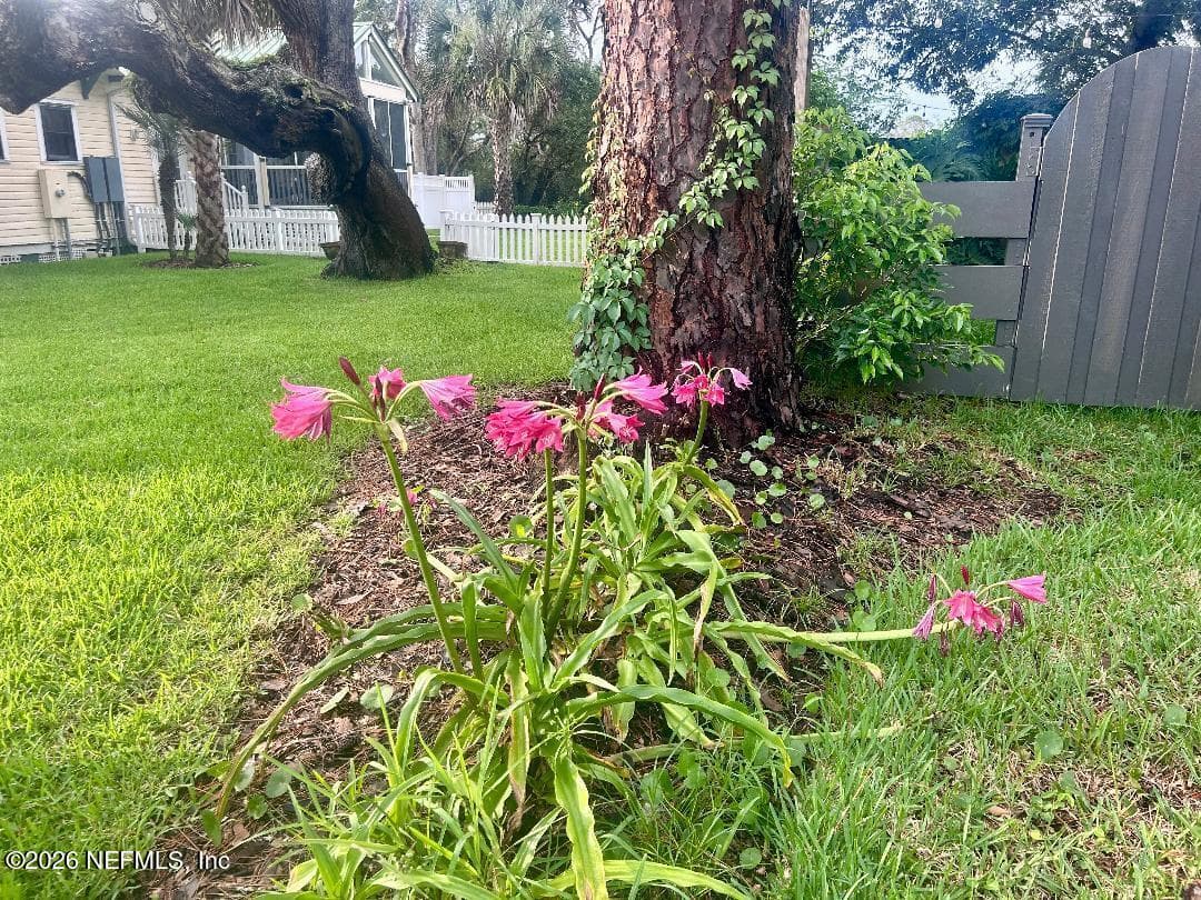 32 E PARK Avenue, St. Augustine — photo 3