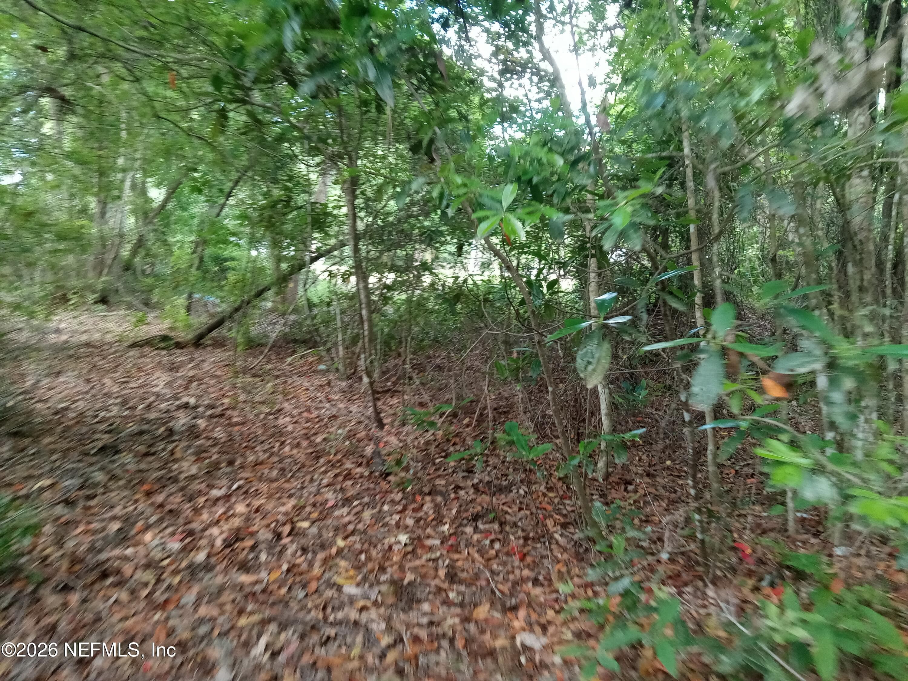 75427 JOHNSON LAKE Road, Yulee, FL 32097, Yulee — exterior